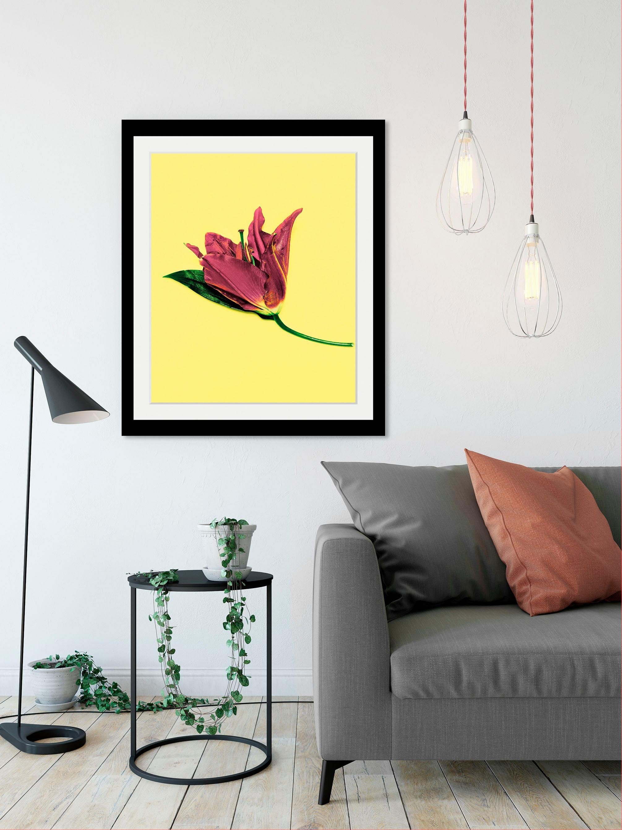 queence Wanddecoratie Bloem HD premium posterdruk incl. houten lijst