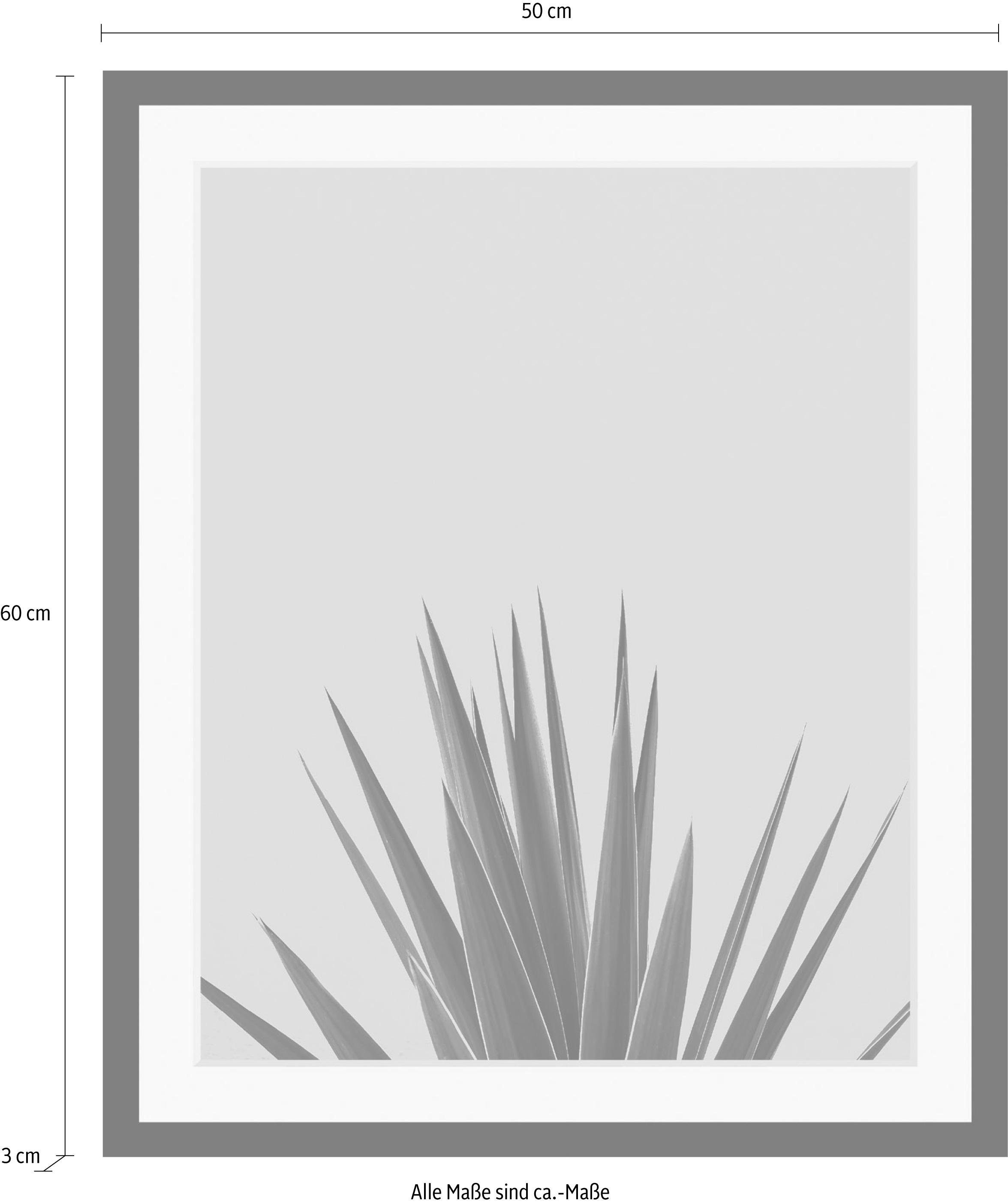 queence Wanddecoratie Palm HD premium posterdruk incl. houten lijst