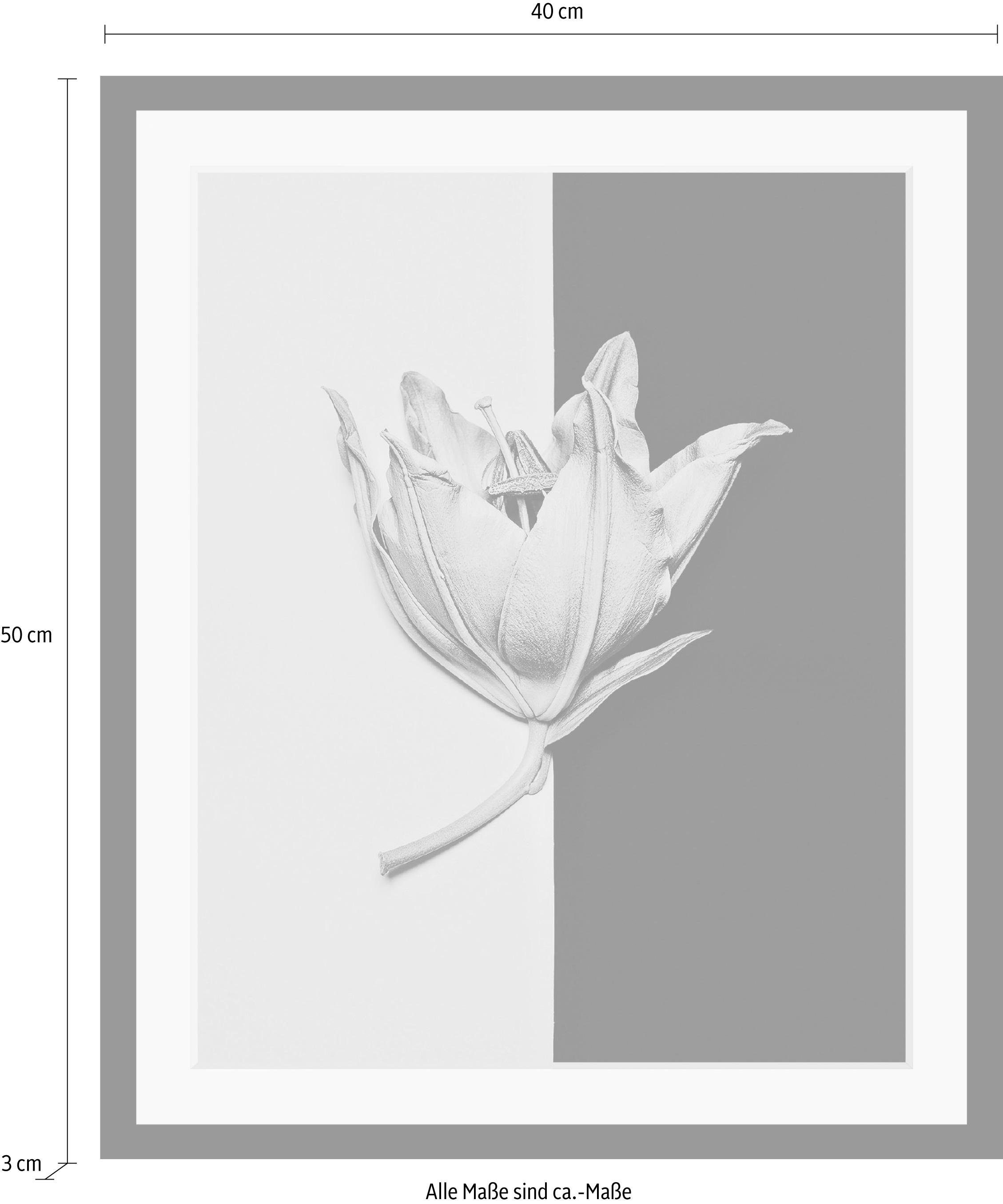 queence Wanddecoratie Bloem HD premium posterdruk incl. houten lijst