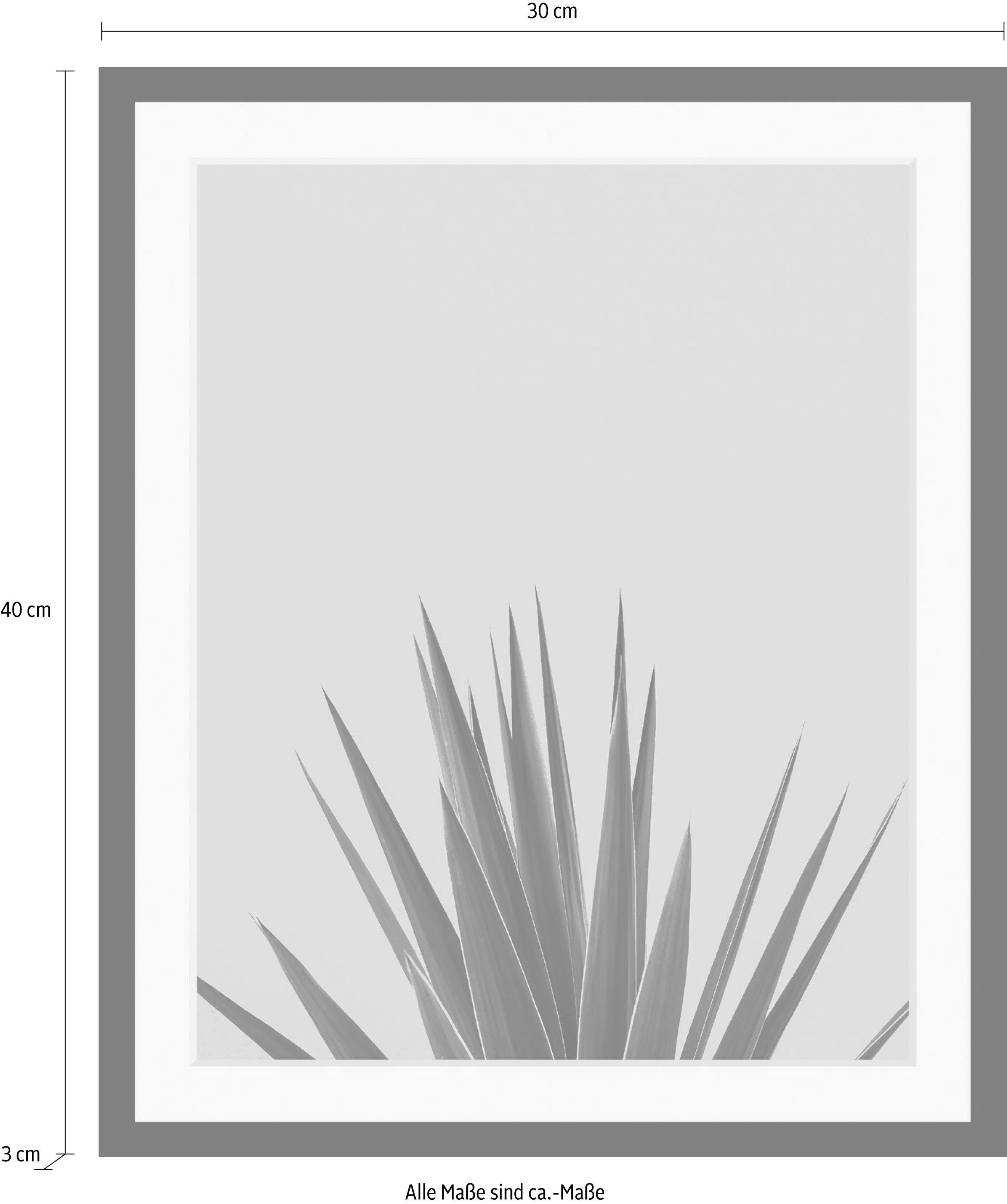 queence Wanddecoratie Palm HD premium posterdruk incl. houten lijst
