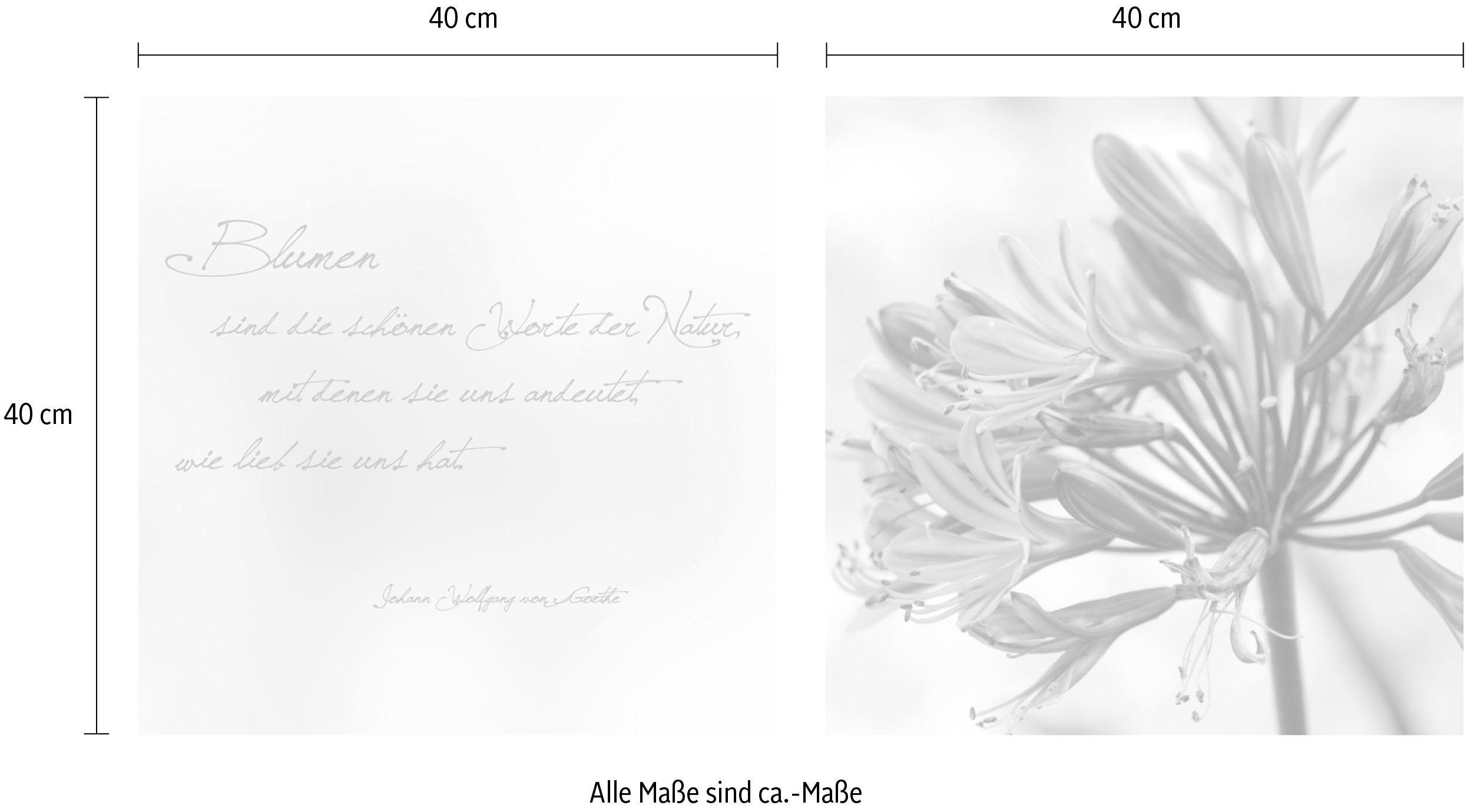 queence Artprint op linnen Woorden van de natuur Premium canvasstof, handgemaakt in Duitsland, citaat, 2-delige set (set)