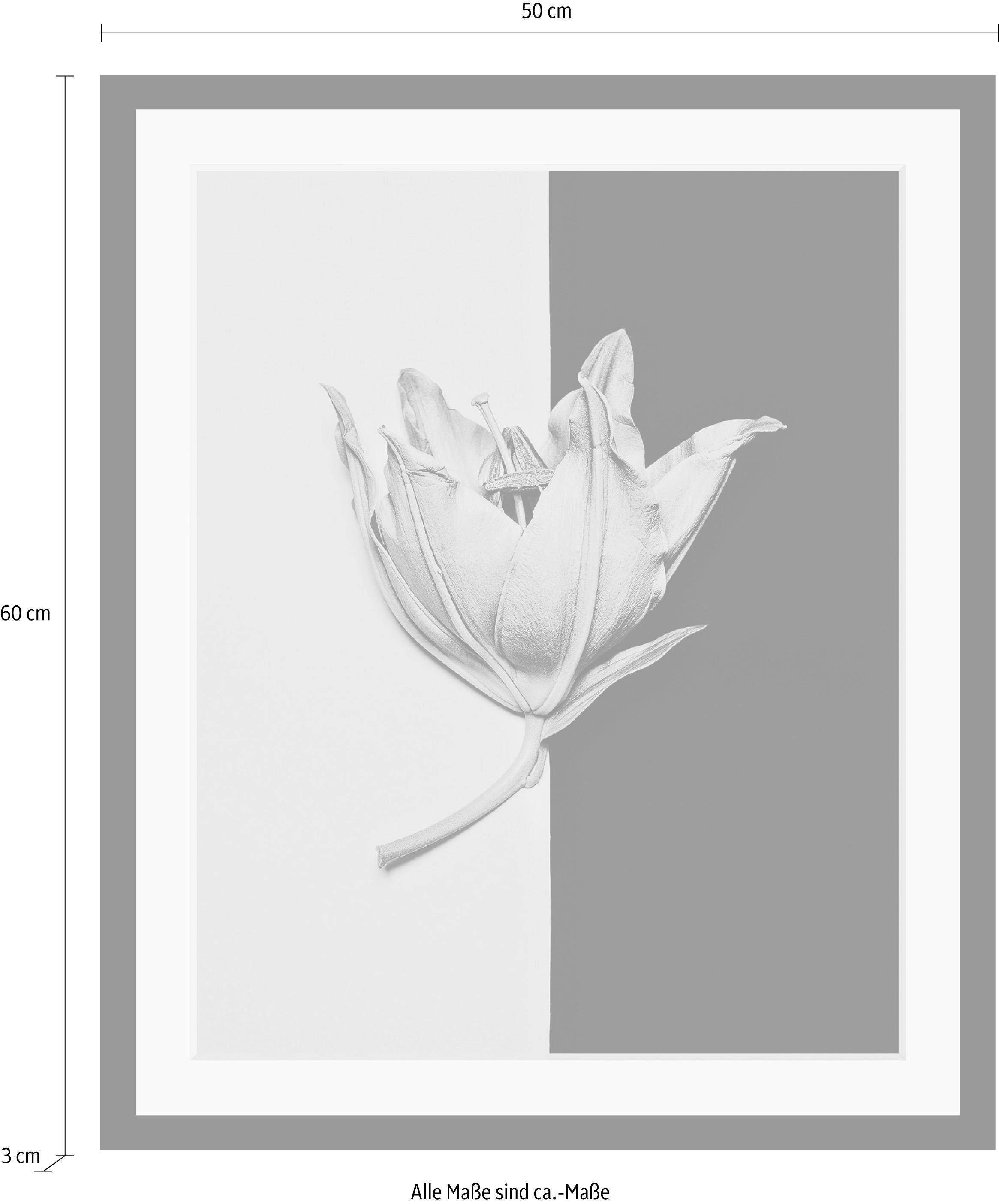 queence Wanddecoratie Bloem HD premium posterdruk incl. houten lijst