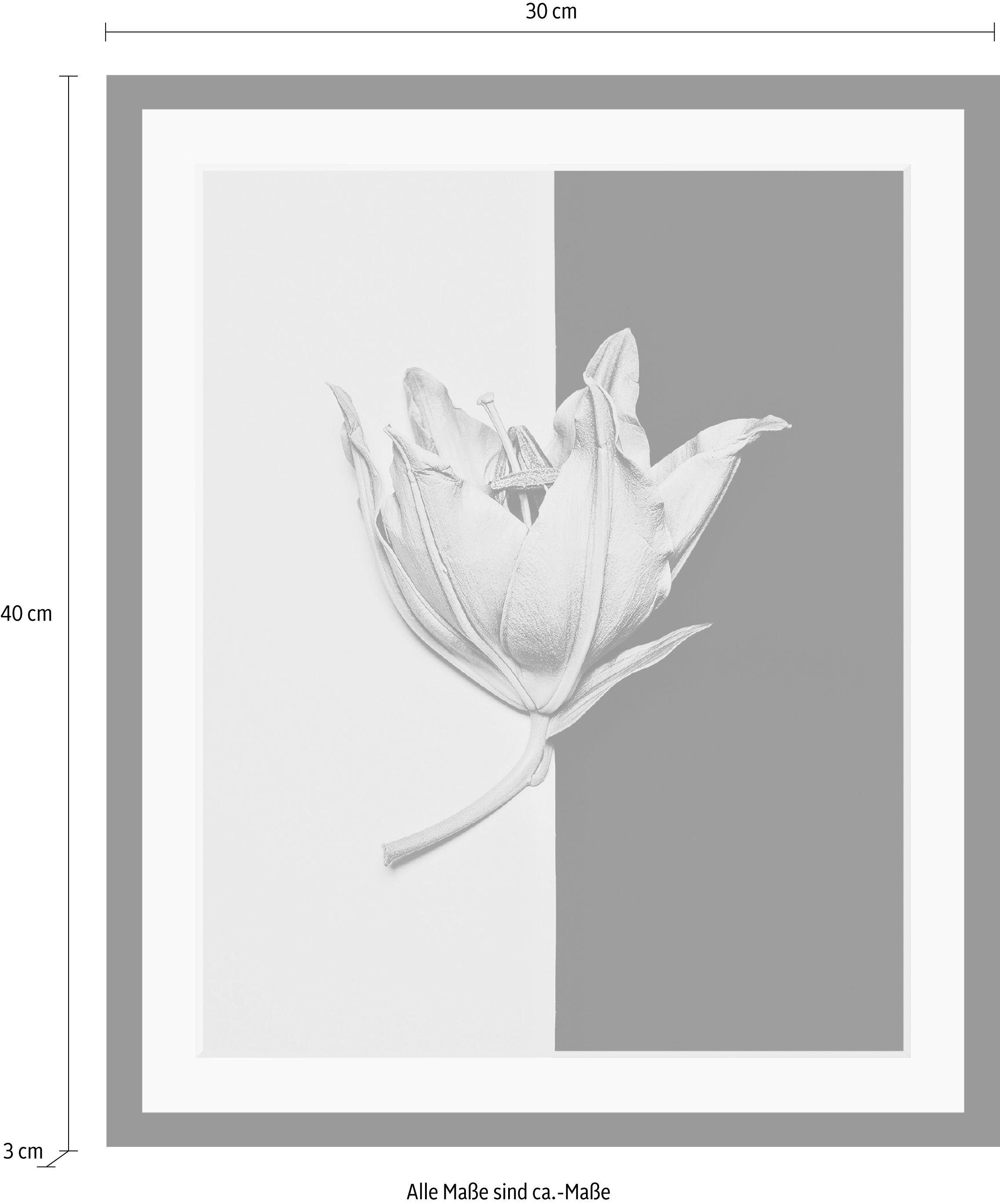 queence Wanddecoratie Bloem HD premium posterdruk incl. houten lijst
