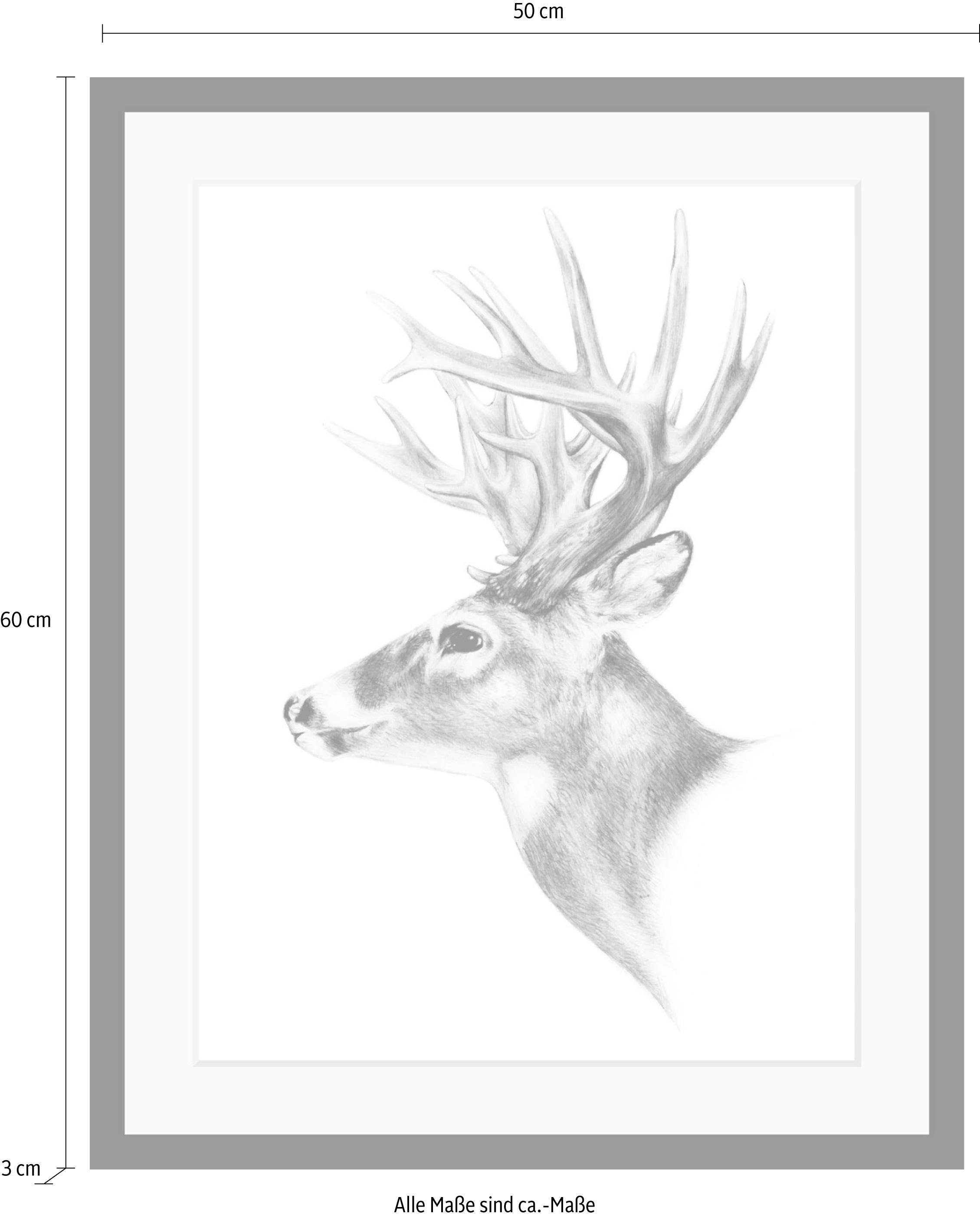 queence Wanddecoratie Edelhert HD premium posterdruk incl. houten lijst
