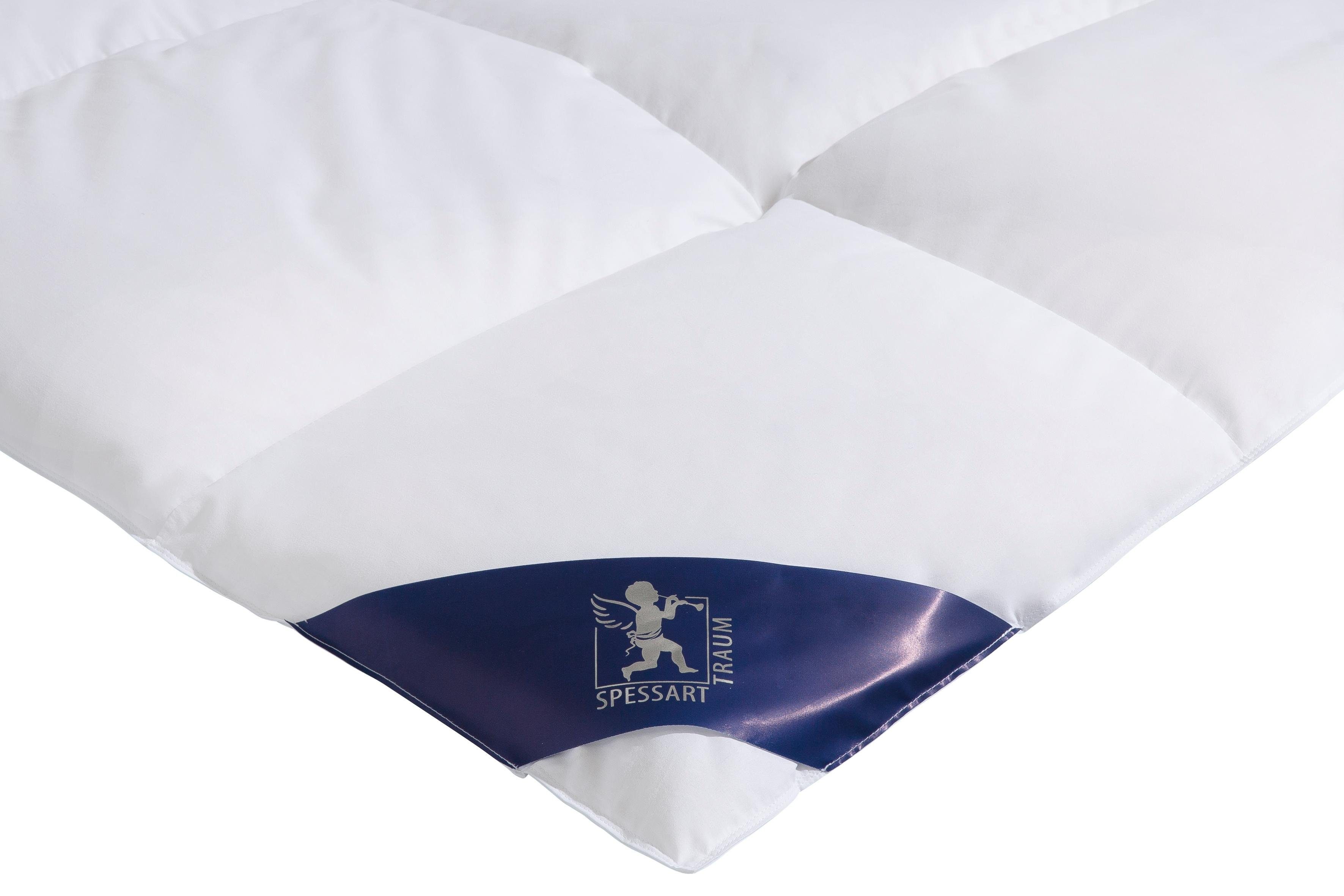 SPESSARTTRAUM Donzen dekbed + 3-kamer-hoofdkussen Exclusief, 2-delig, gemaakt in Duitsland, made in Germany, set (voordeelset)