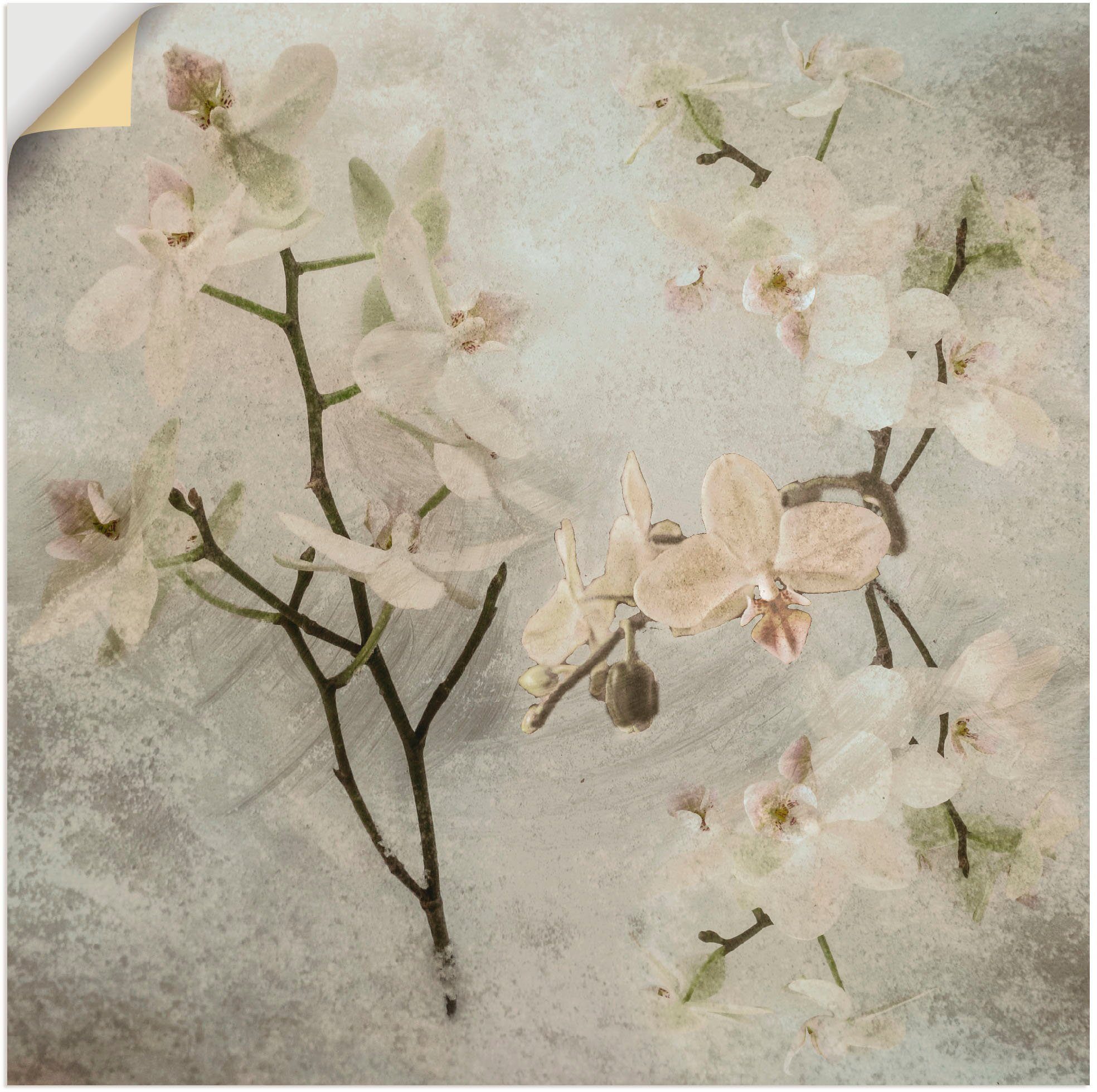 Artland artprint Orchideen