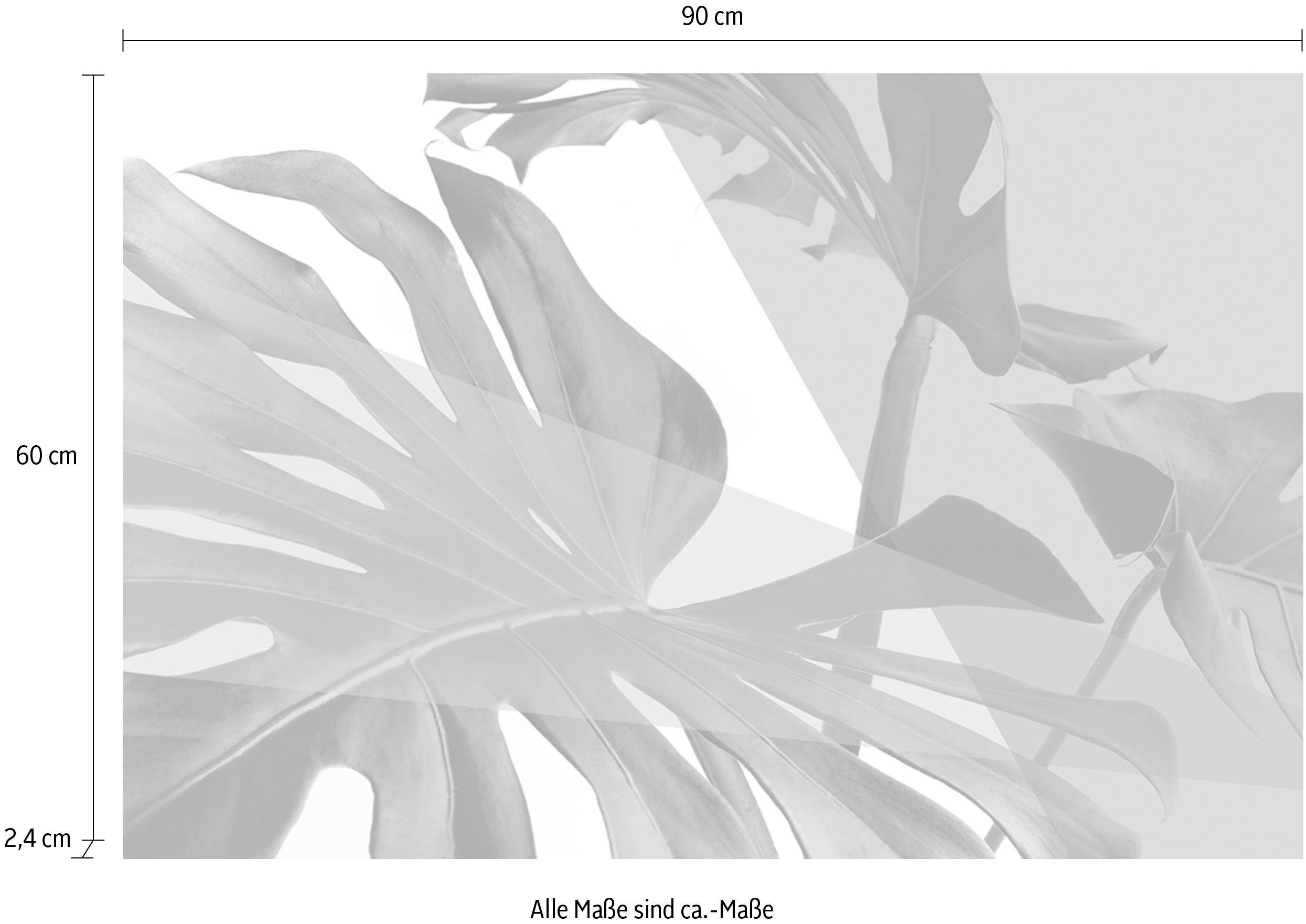 queence Artprint op acrylglas Bladeren Fine Art-print in galeriekwaliteit