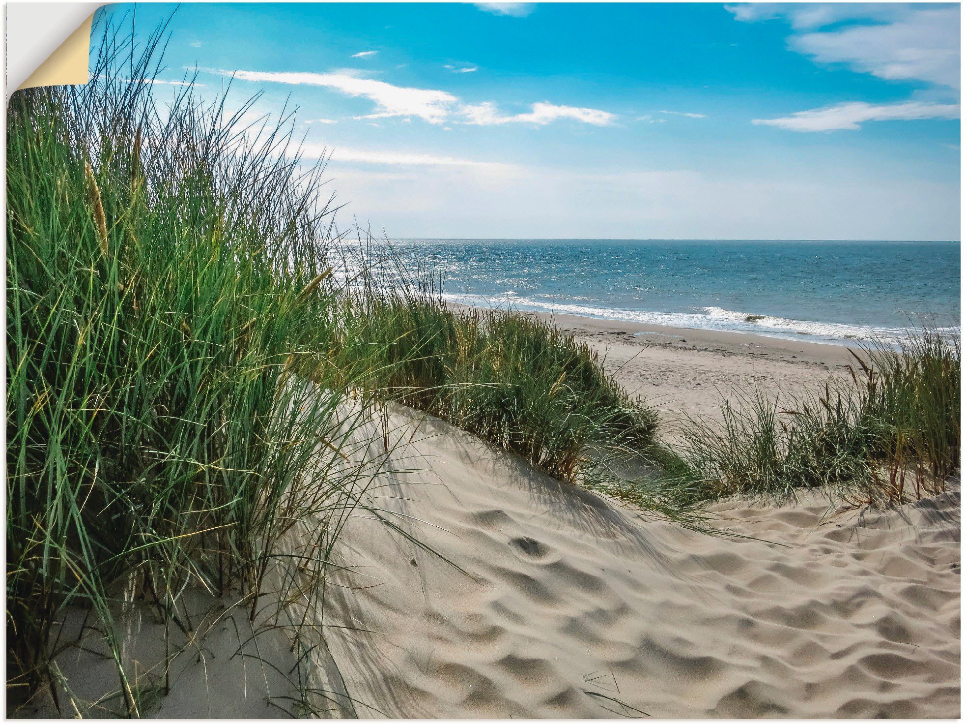Artland Artprint Duinlandschap in de zomer aan de Noordzee als artprint van aluminium, artprint voor buiten, artprint op linnen, poster, muursticker