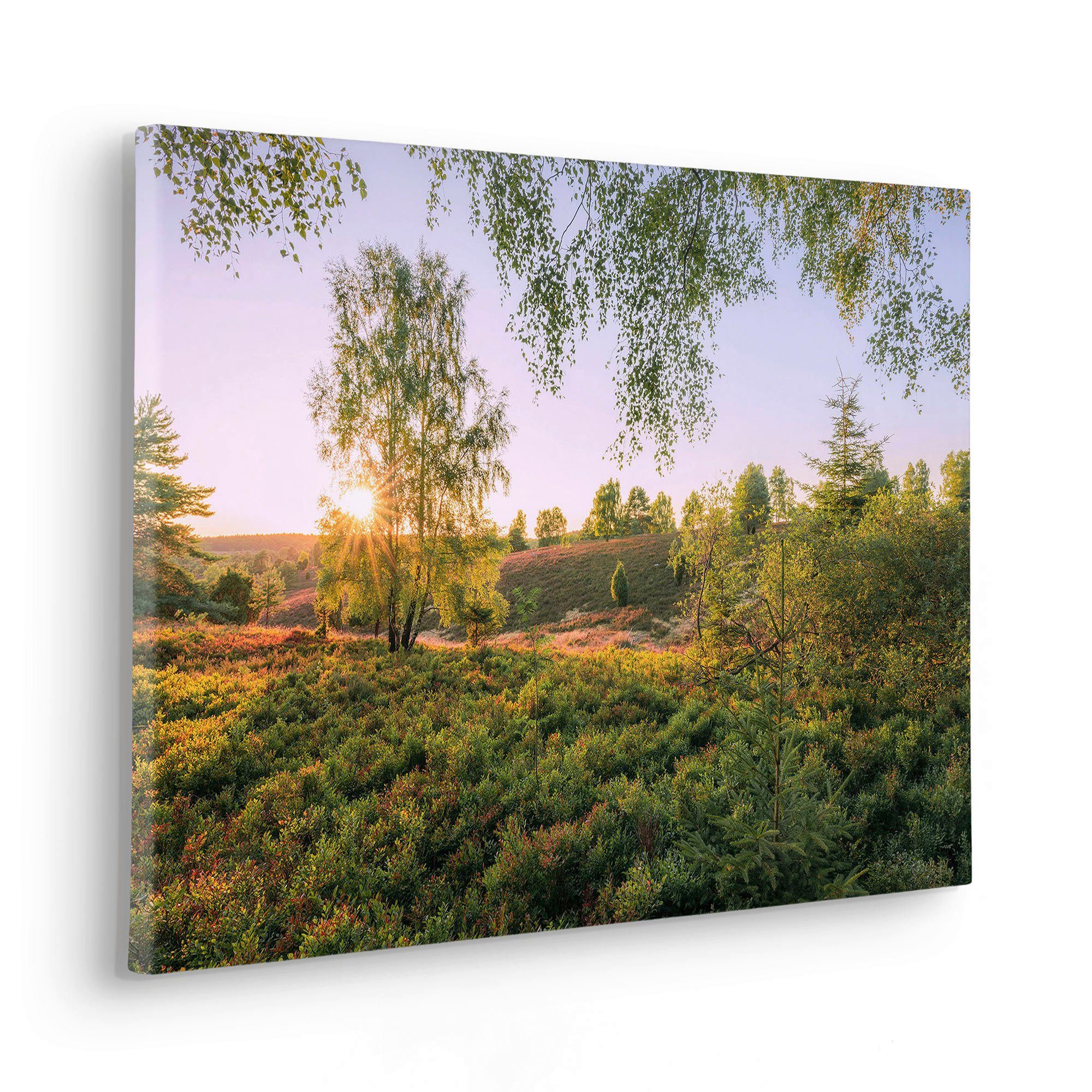 Komar Artprint op linnen Sommerabend - Afmeting 60 x 40 cm (1 stuk)