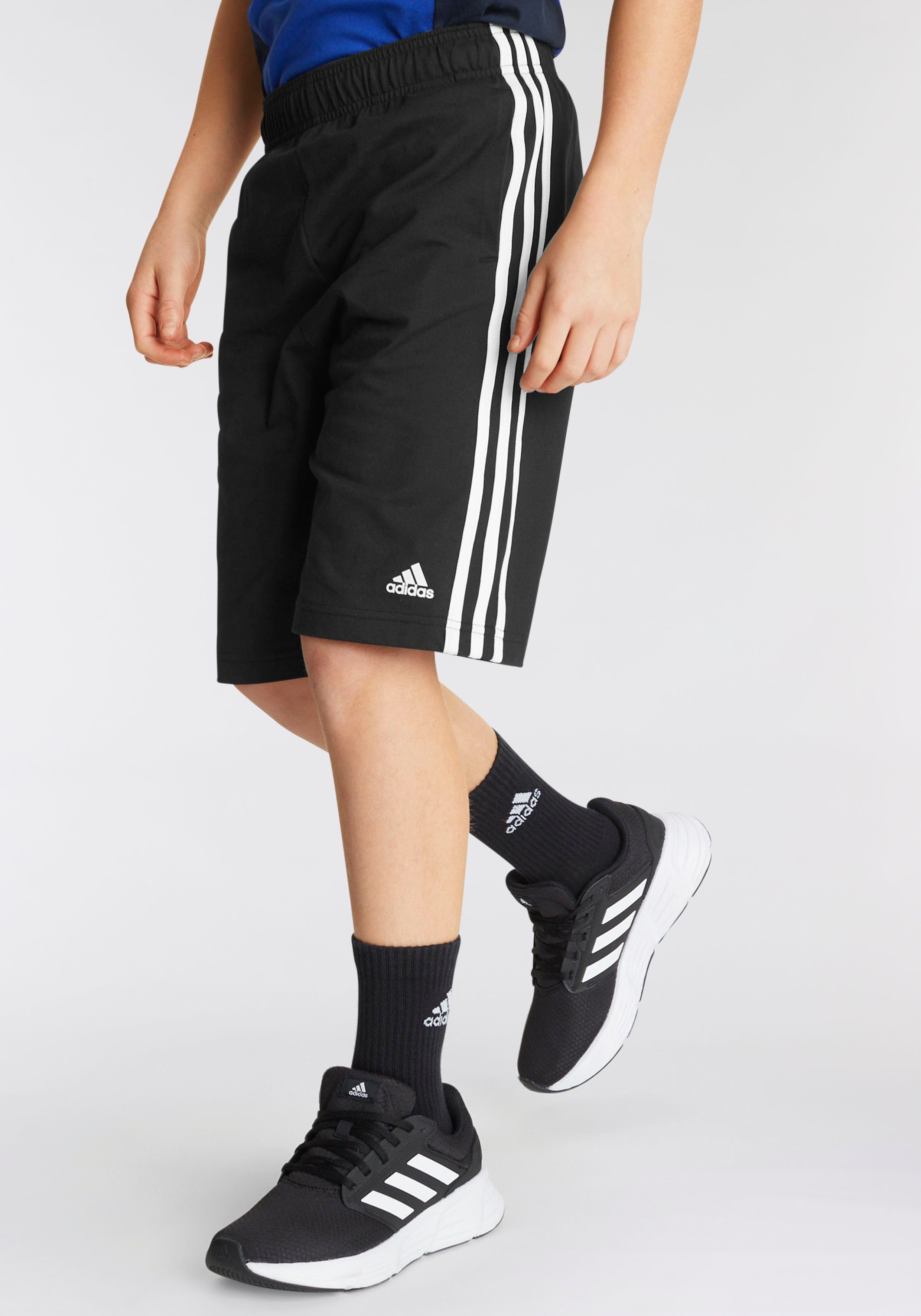 adidas Sportswear Short ESSENTIALS 3-STRIPES KNIT (1-delig)