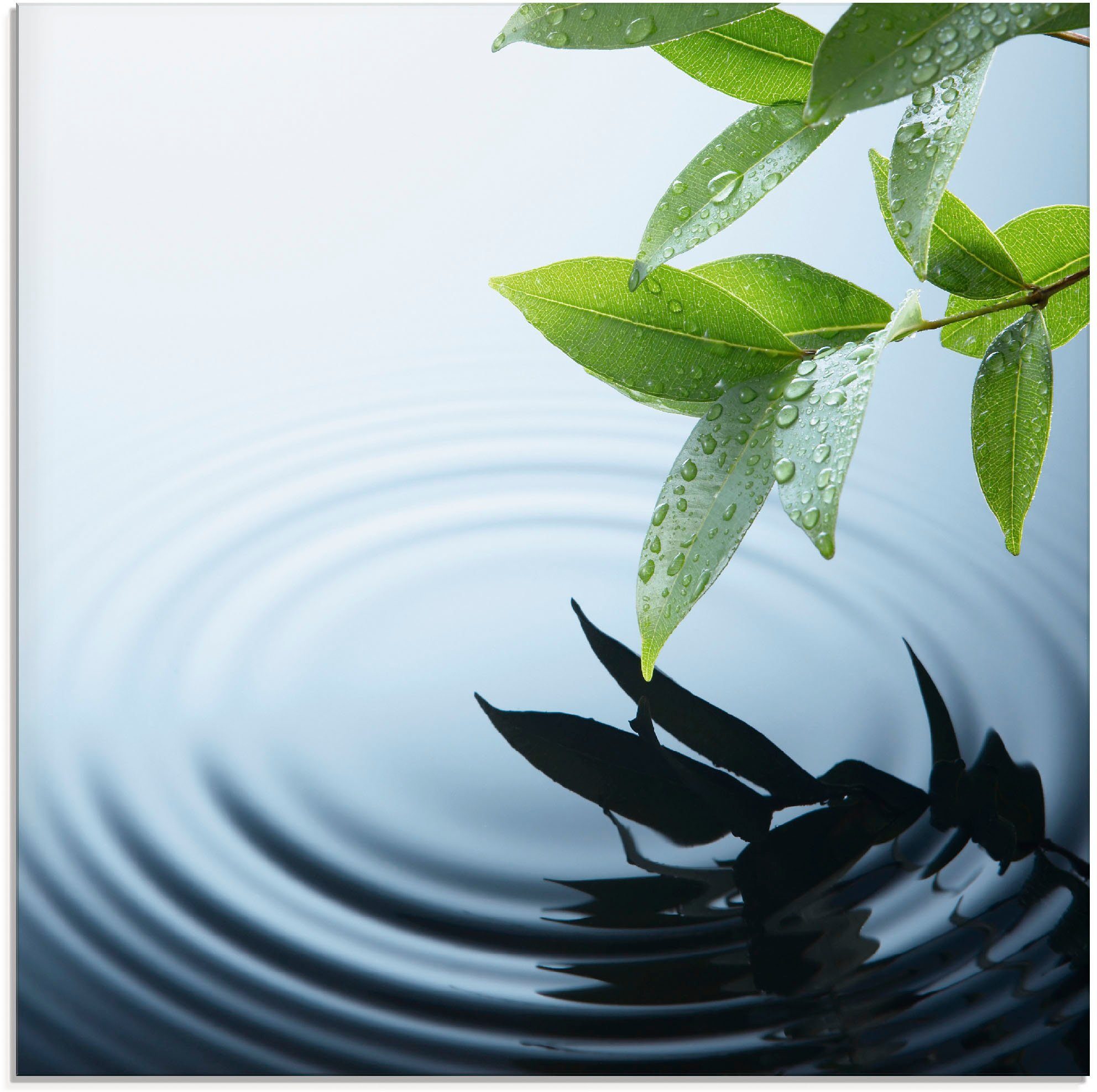 Artland Print op glas Plant en water in verschillende maten glazen artprint maat 30 cm x 30 cm blauw