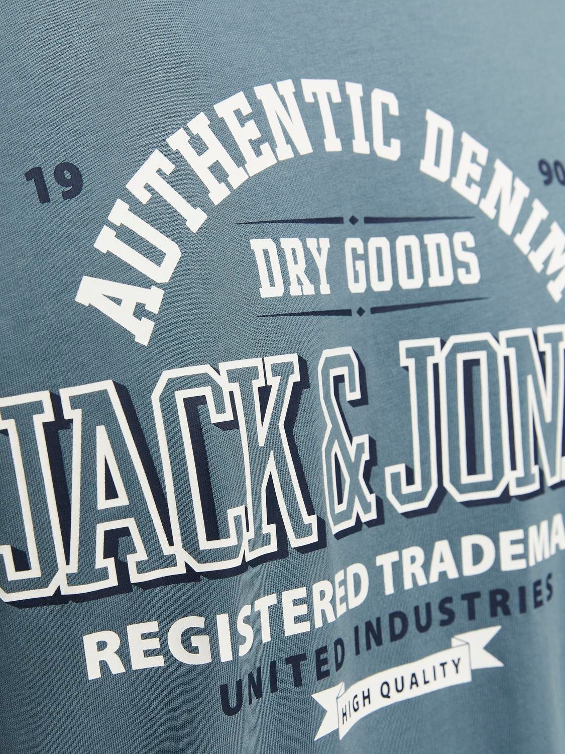 Jack & Jones Shirt met ronde hals JJELOGO TEE SS O-NECK 2 COL AW24 SN