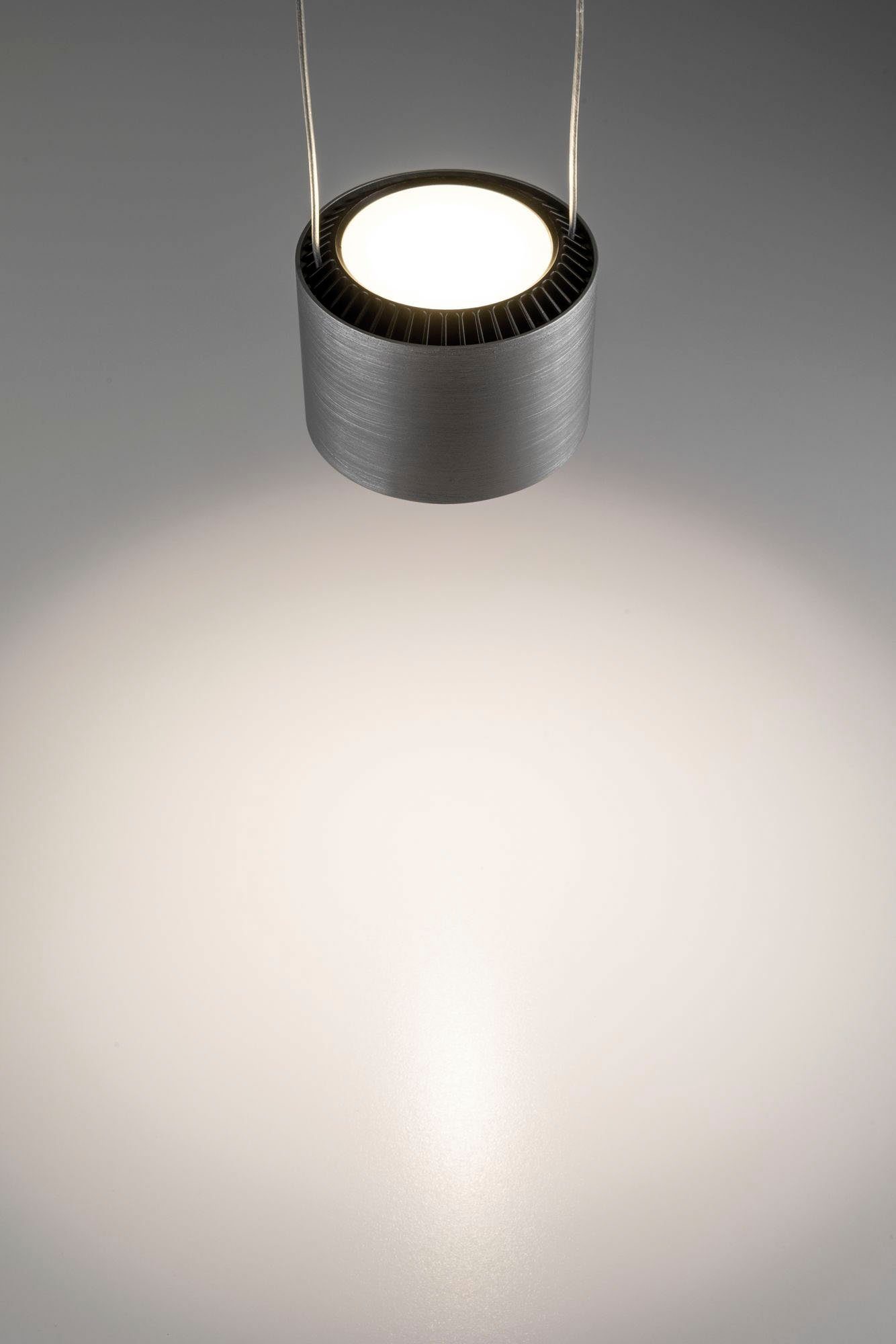 Paulmann Led-hanglamp Aldan (1 stuk)