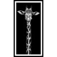 spiegelprofi gmbh wanddecoratie giraf exclusieve artprint, lijst zwart zwart