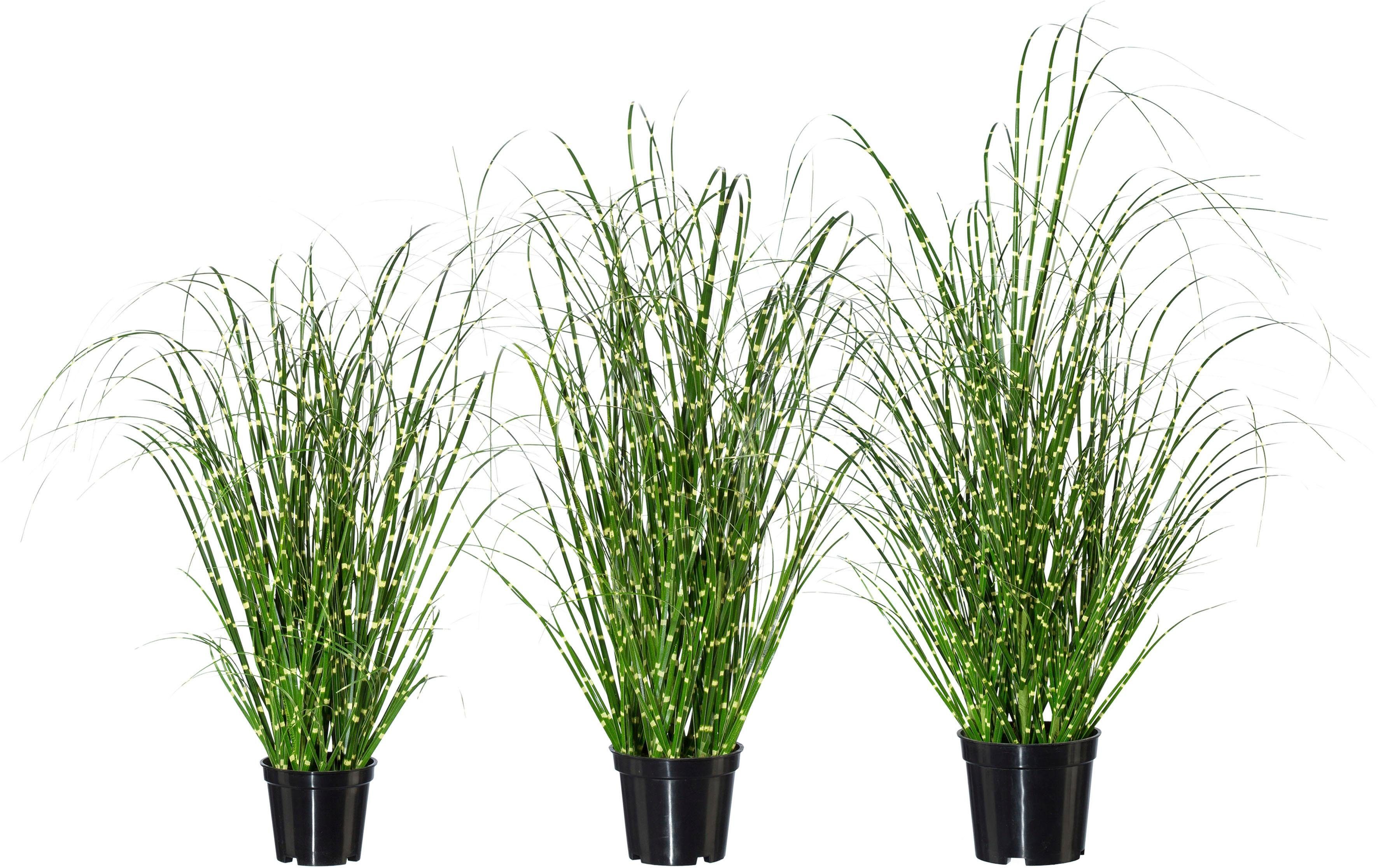 Creativ green Kunstgras Miscanthus (set, 3 stuks)