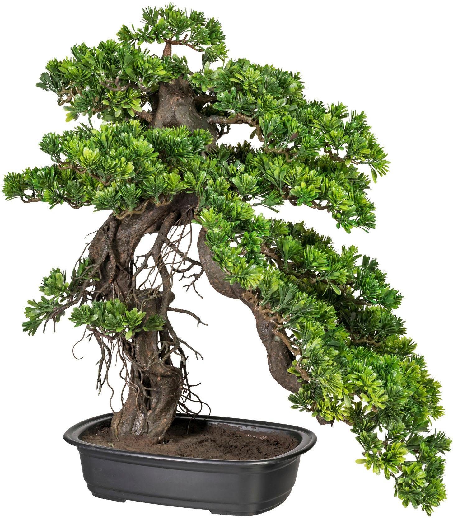 Creativ green Kunstbonsai Bonsai Podocarpus