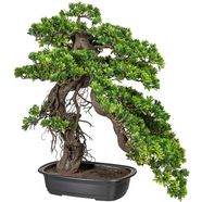 creativ green kunstbonsai bonsai podocarpus groen