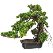 creativ green kunstbonsai bonsai podocarpus groen