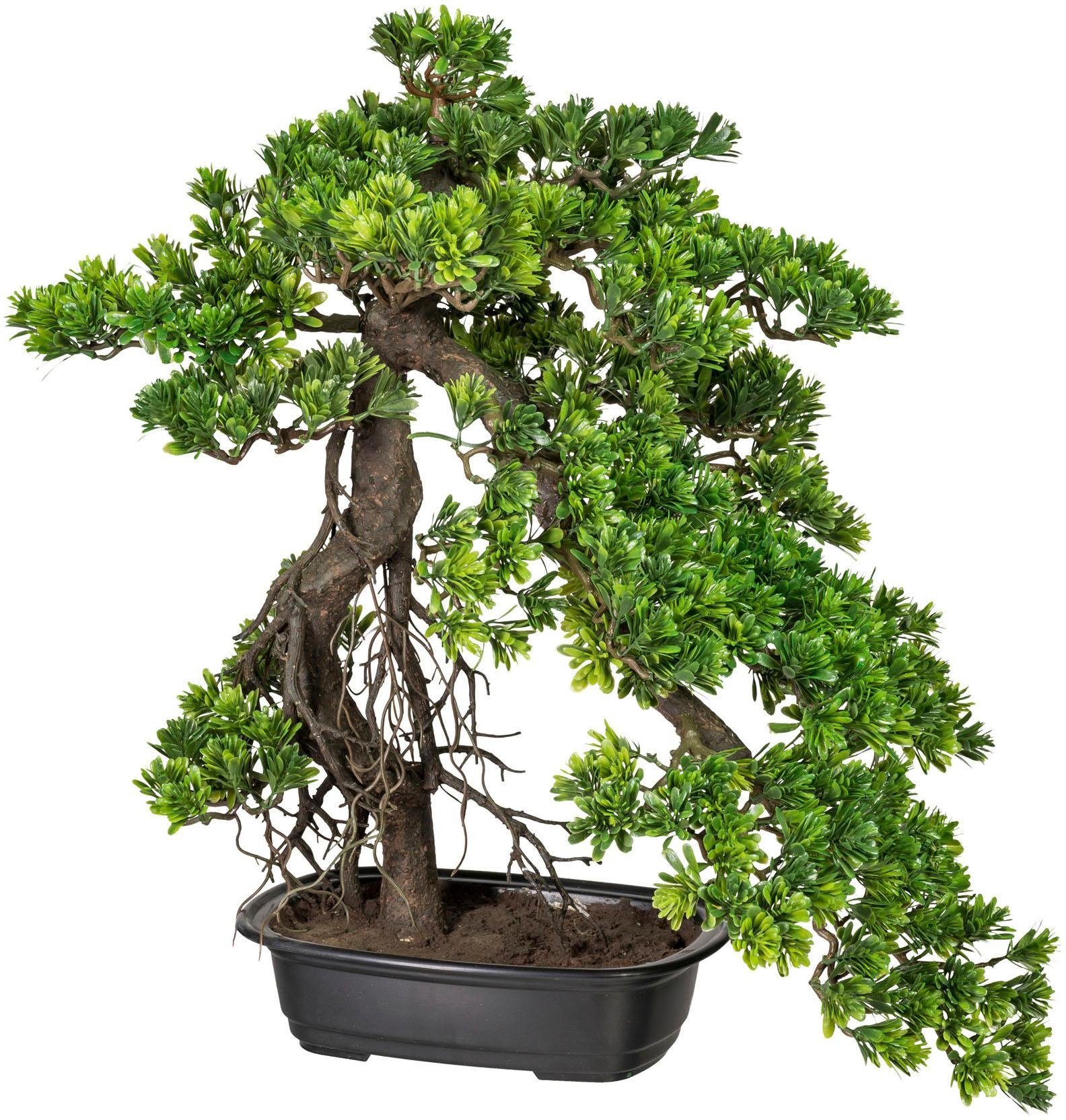 Creativ green Kunstbonsai Bonsai Podocarpus (1 stuk)