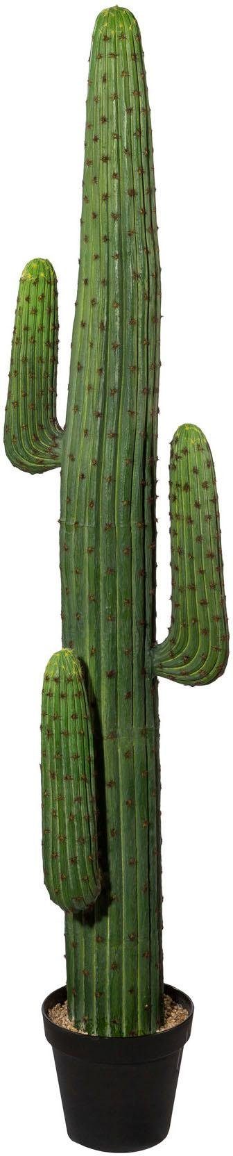 Creativ green Kunstcactus Mexikokaktus