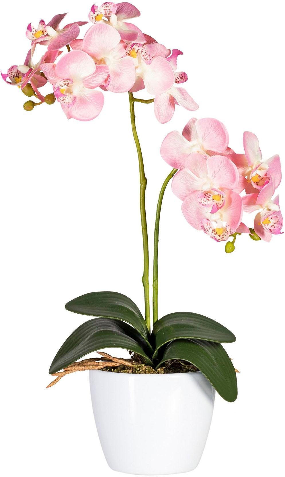 Creativ green Kunstplant Vlinderorchidee (set, 2 stuks)