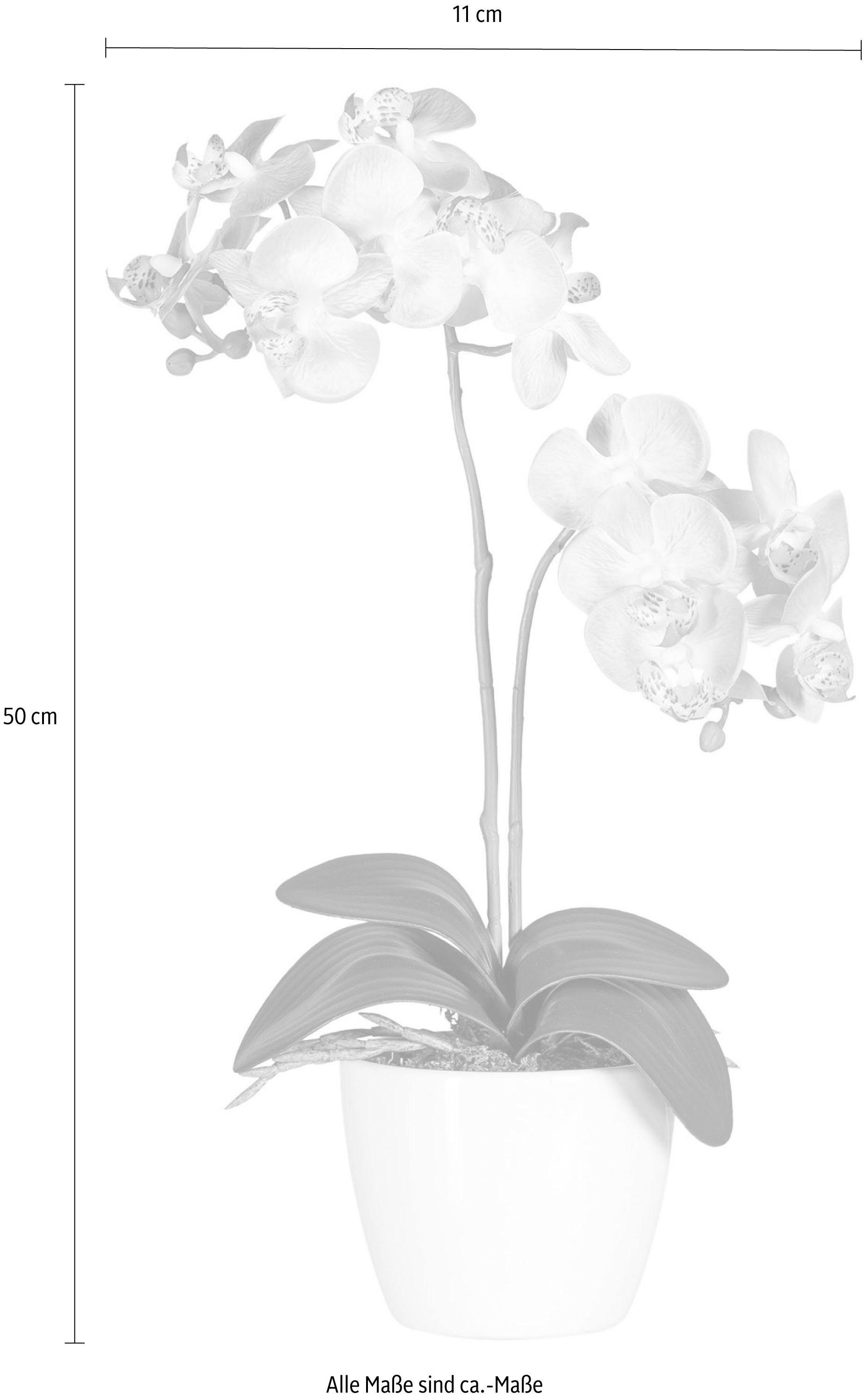 Creativ green Kunstplant Vlinderorchidee (set, 2 stuks)