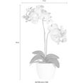 creativ green kunstplant vlinderorchidee (set) roze