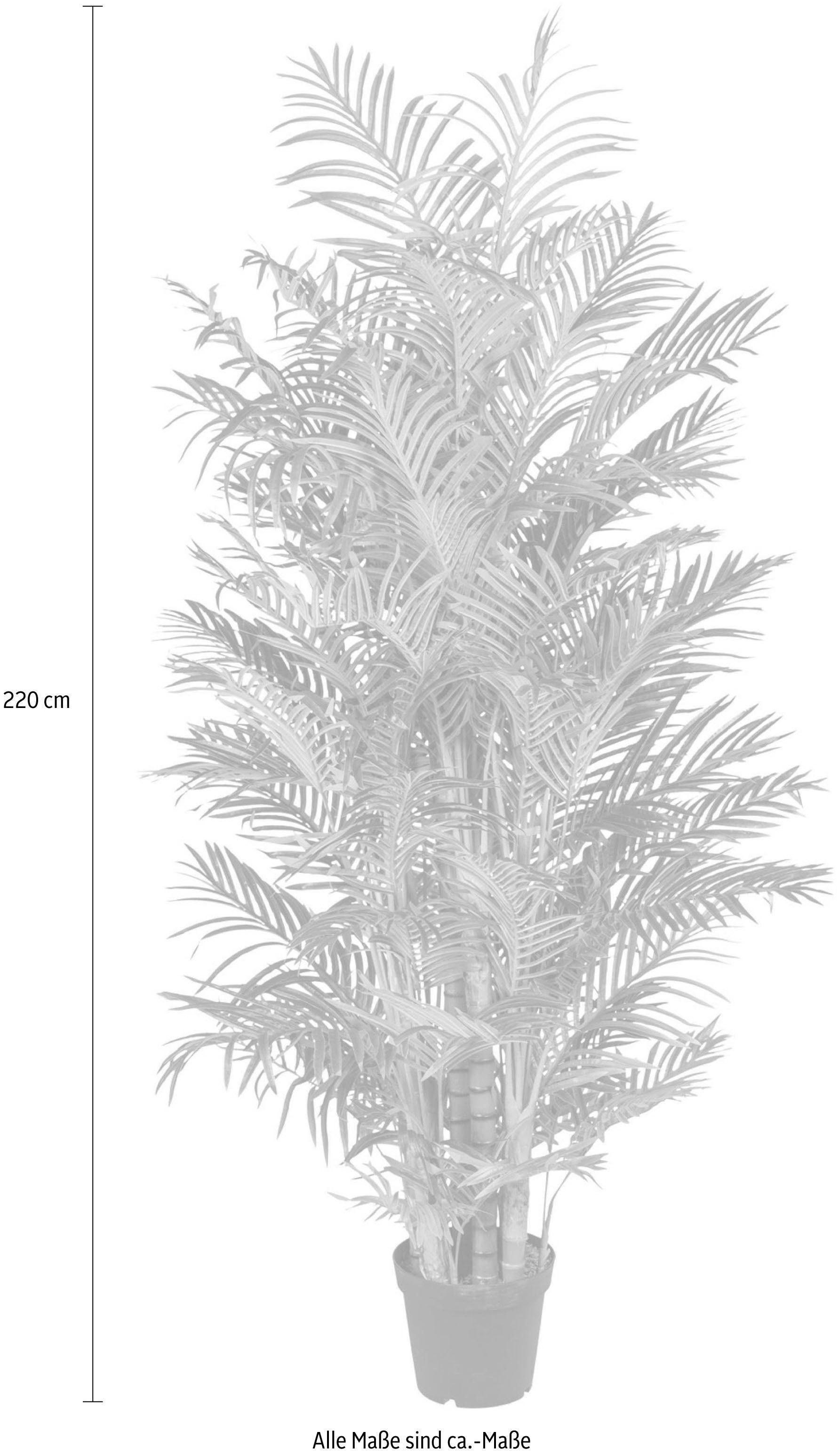 Creativ green Kunstpalm Arecapalm (1 stuk)