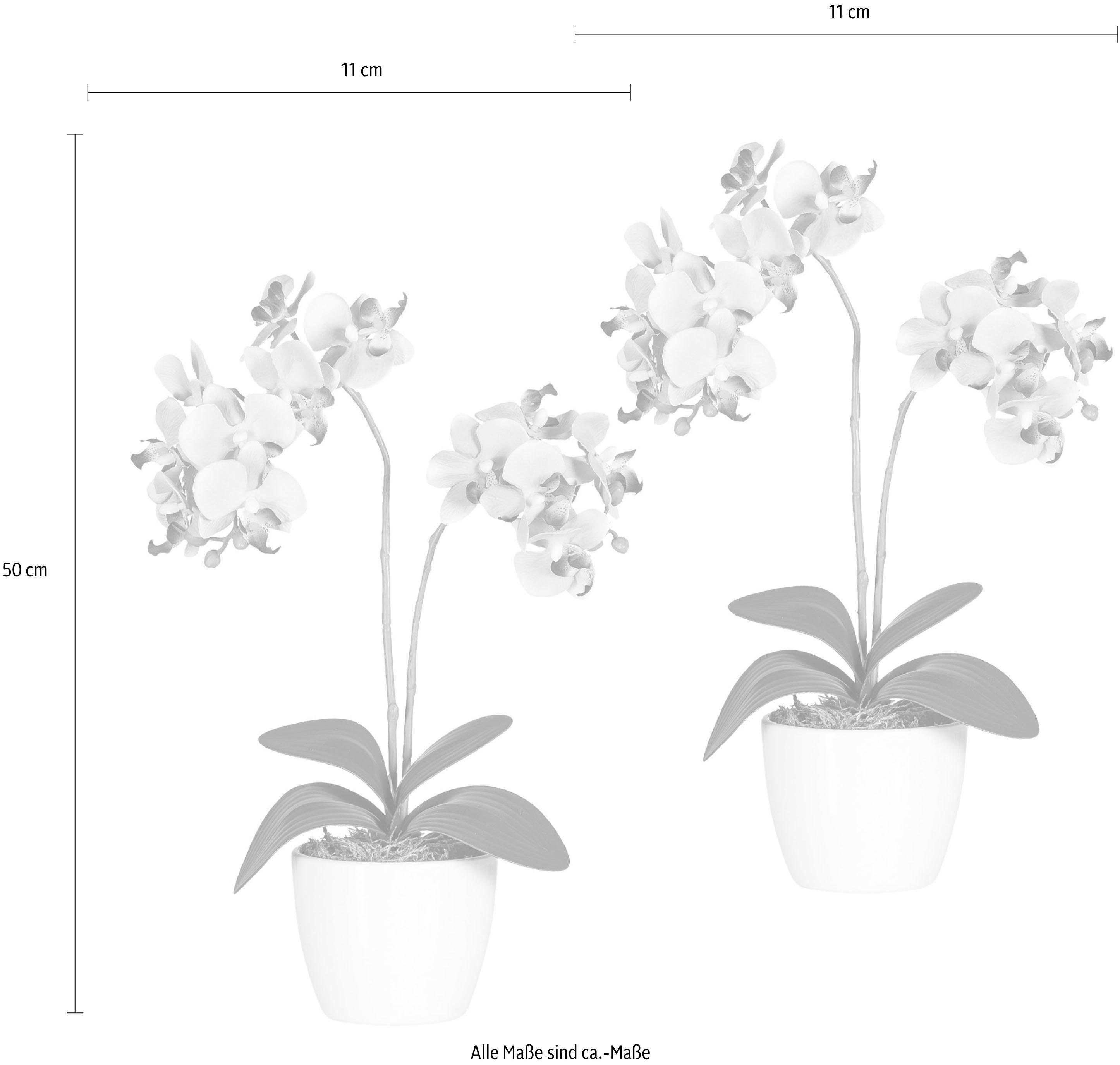 Creativ green Kunstplant Vlinderorchidee (set, 2 stuks)