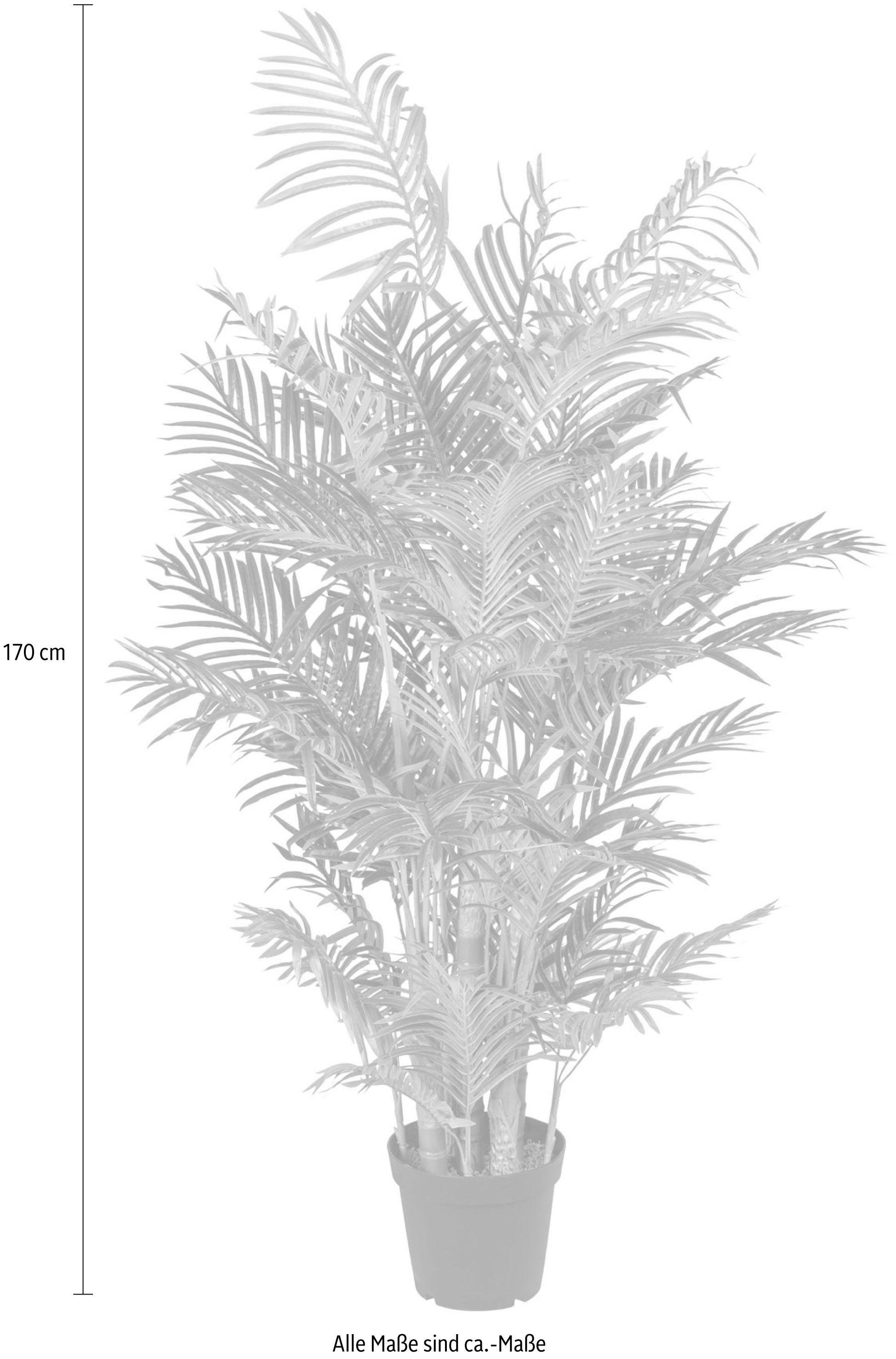 Creativ green Kunstpalm Arecapalm (1 stuk)