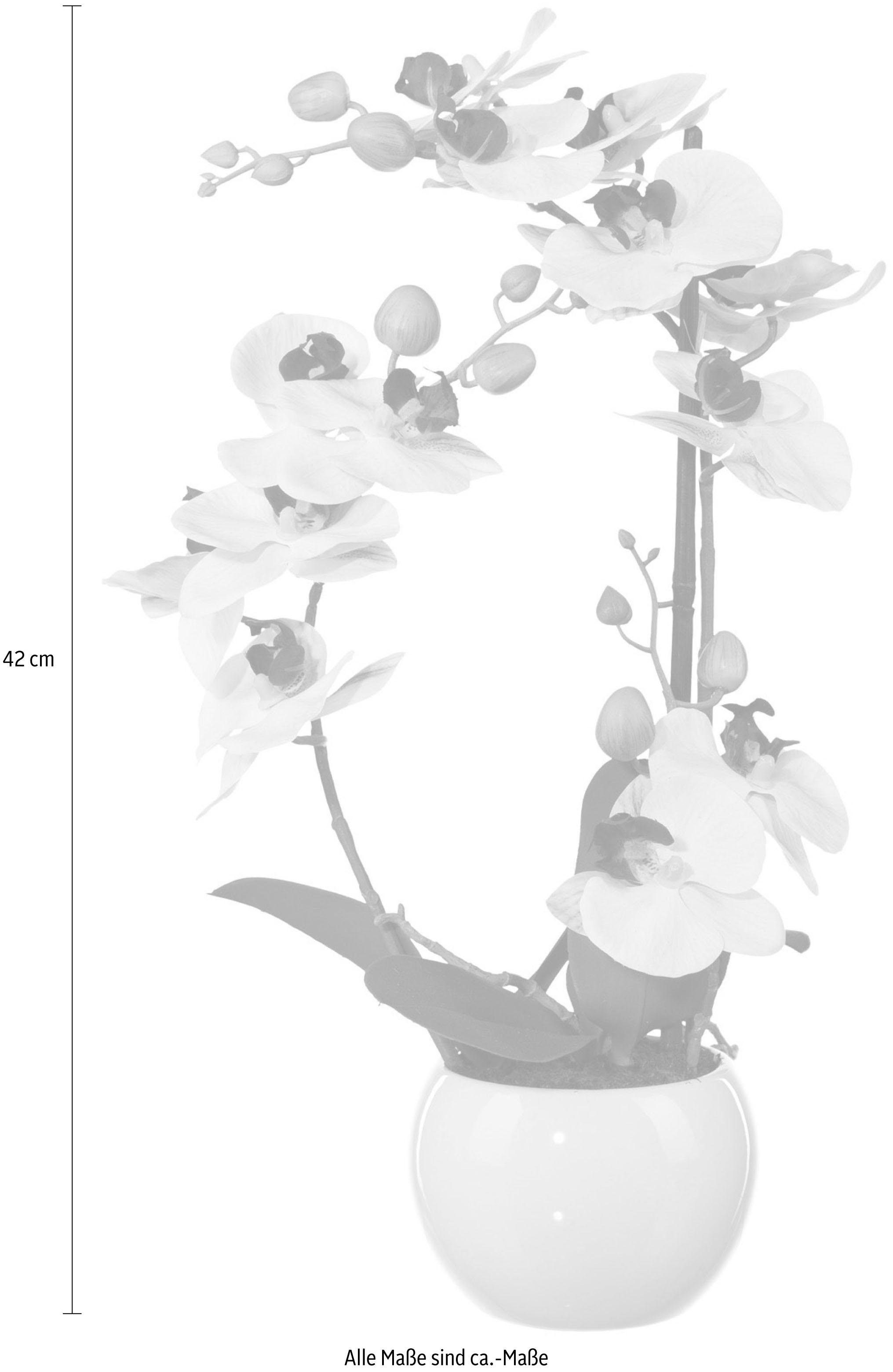 Creativ green Kunstplant Vlinderorchidee (1 stuk)