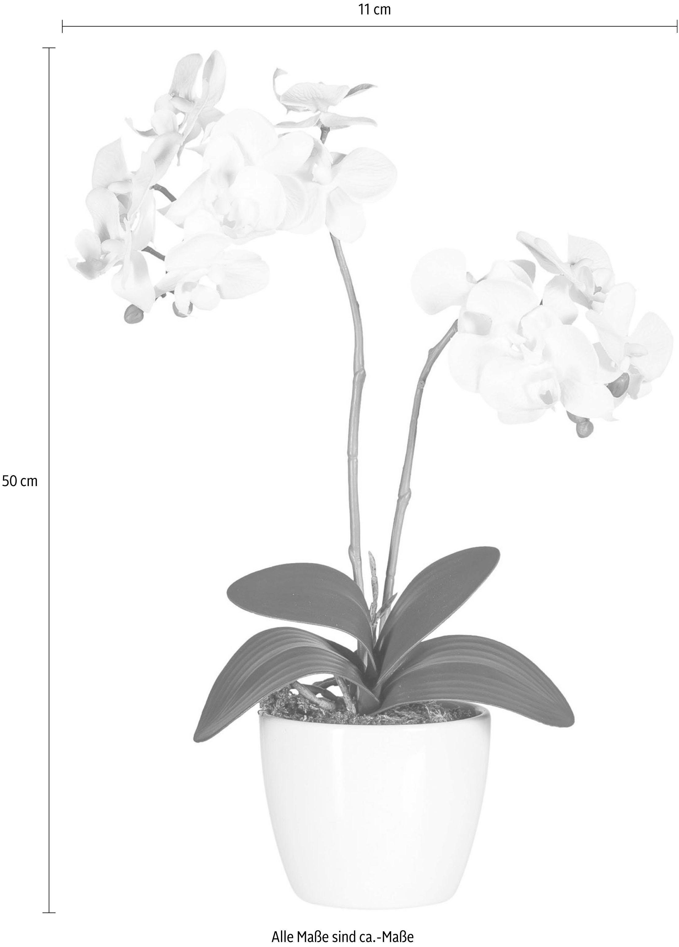 Creativ green Kunstplant Vlinderorchidee (set, 2 stuks)