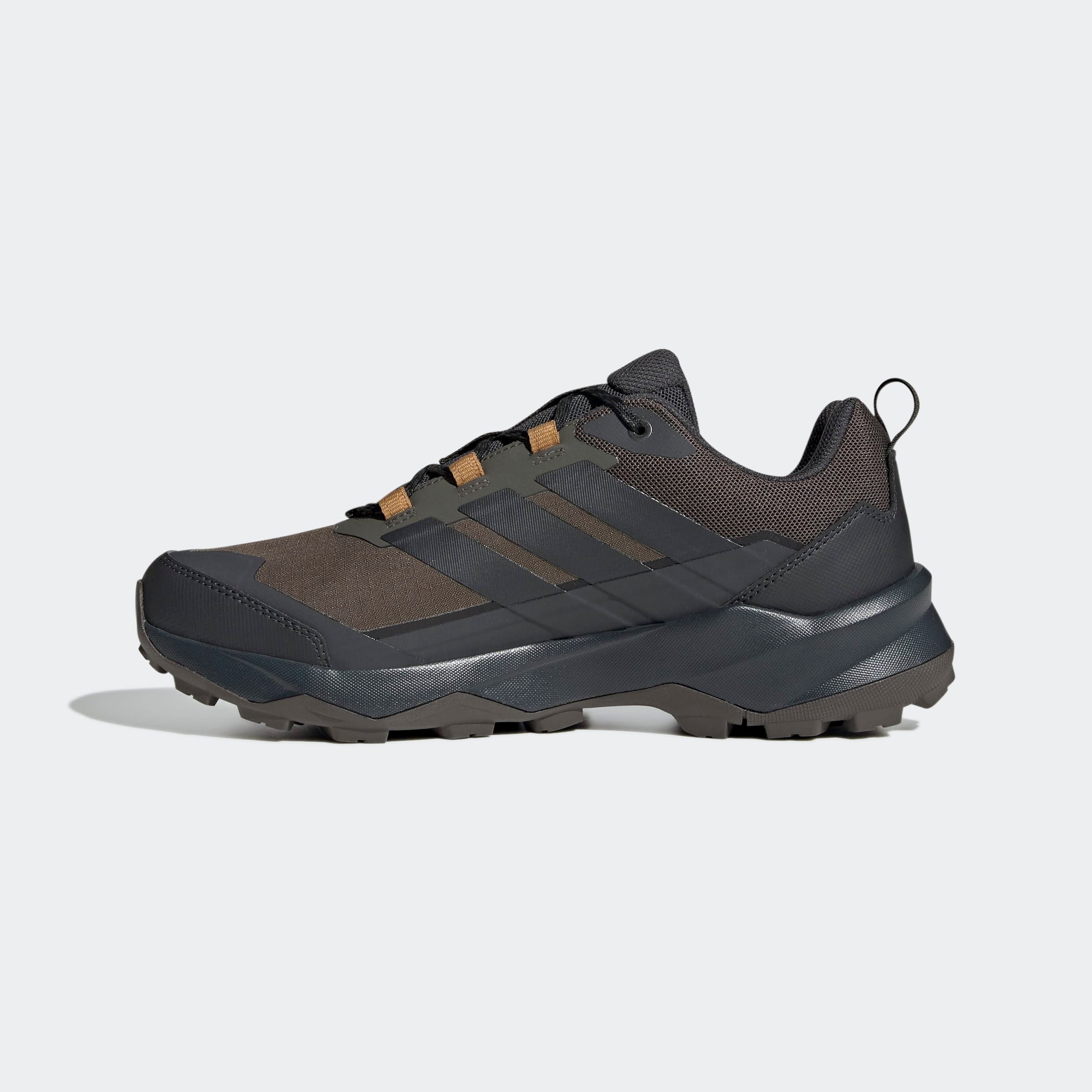adidas TERREX Wandelschoenen TERREX SKYCHASER AX5 GORE-TEX E