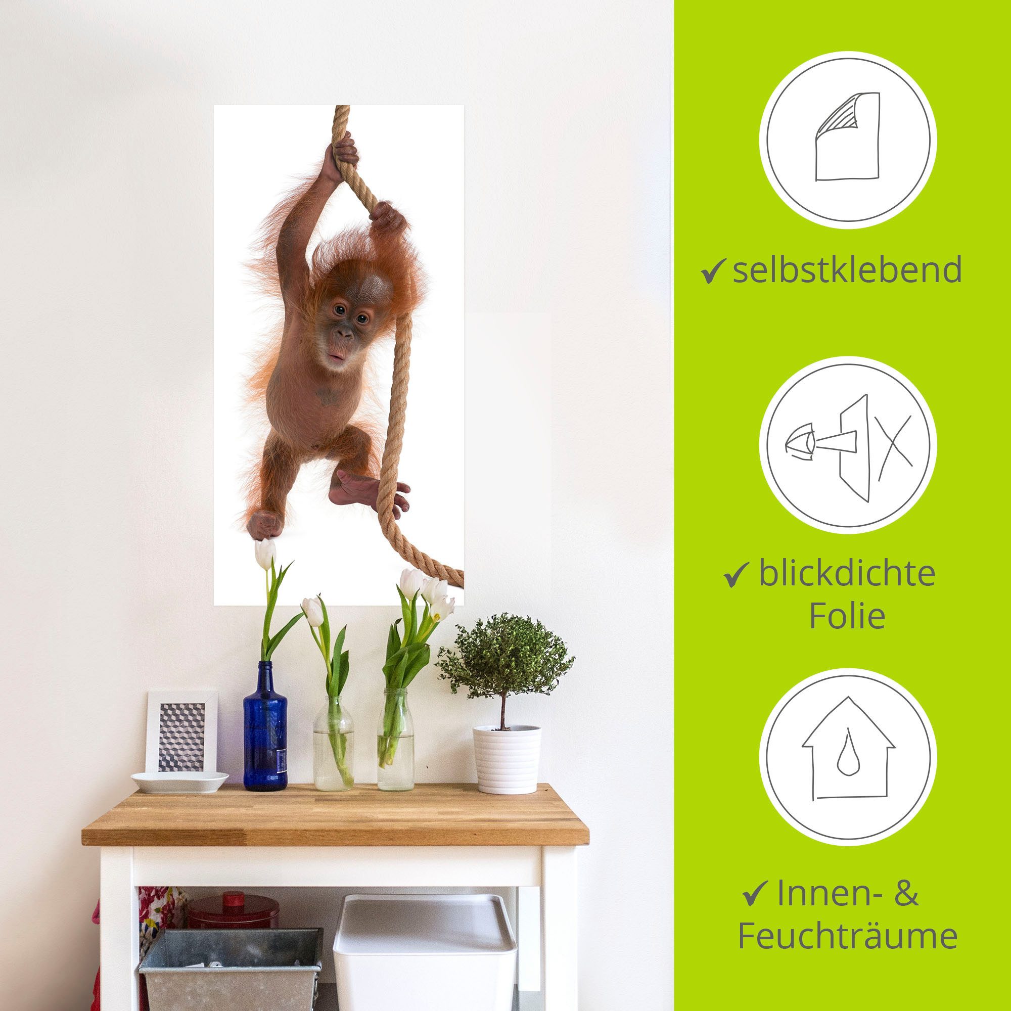 Artland Artprint Baby orang oetan hangt aan het touw I als artprint van aluminium, artprint op linnen, muursticker of poster in verschillende maten