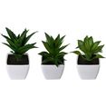 creativ green kunstplant vetplanten mix set van 3, in een plastic pot (3 stuks) groen
