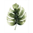 wall-art poster kvilis - gatenplant leaf poster, artprint, wandposter groen