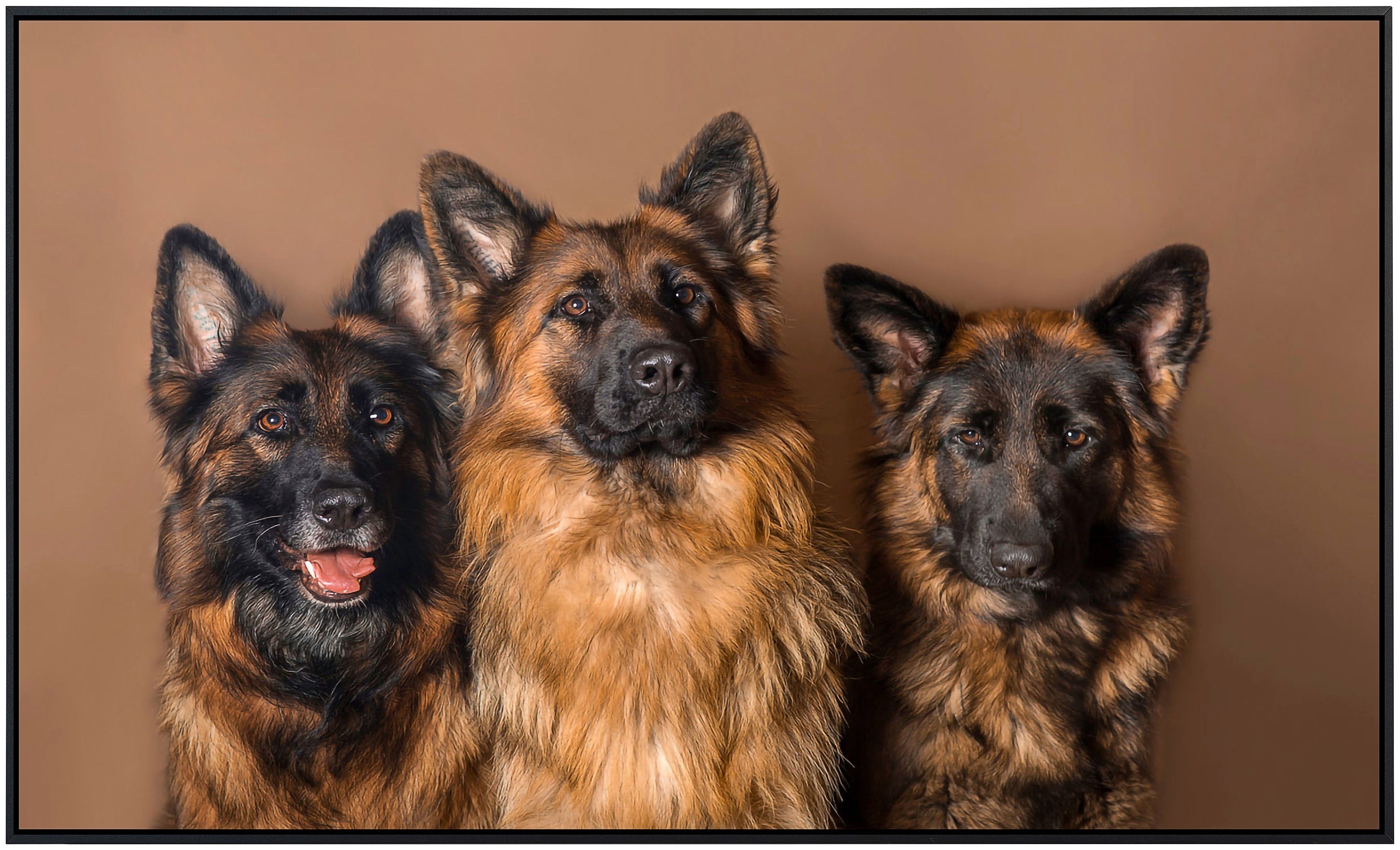 Papermoon Infraroodverwarming Pups zeer aangename stralingswarmte