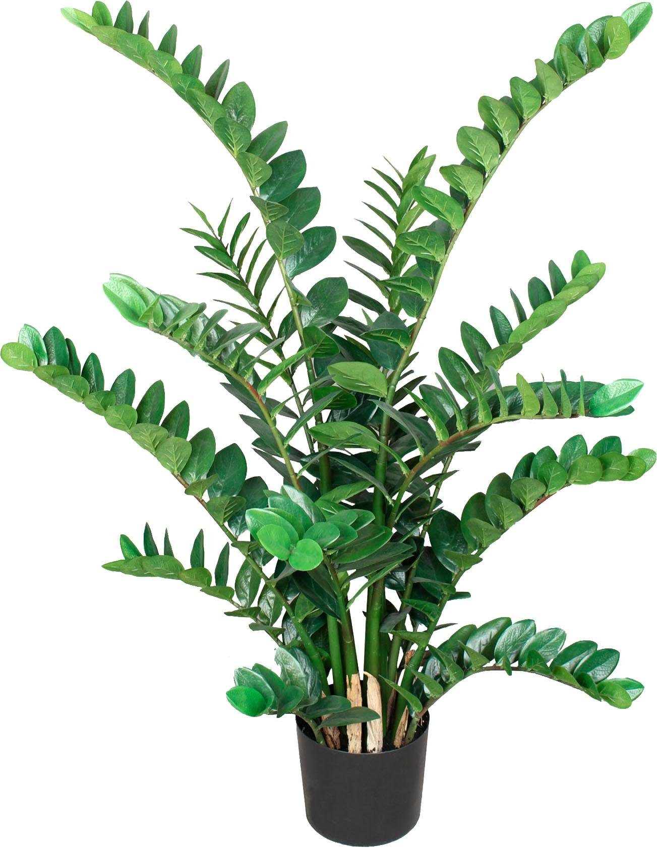 Creativ green Kunstplant Zamifolia
