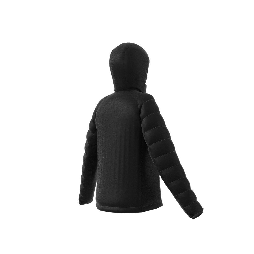 adidas TERREX Outdoorjack W MT INS HO JKT