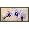 home affaire artprint met lijst elena dolci - royal orchid (1 stuk) multicolor