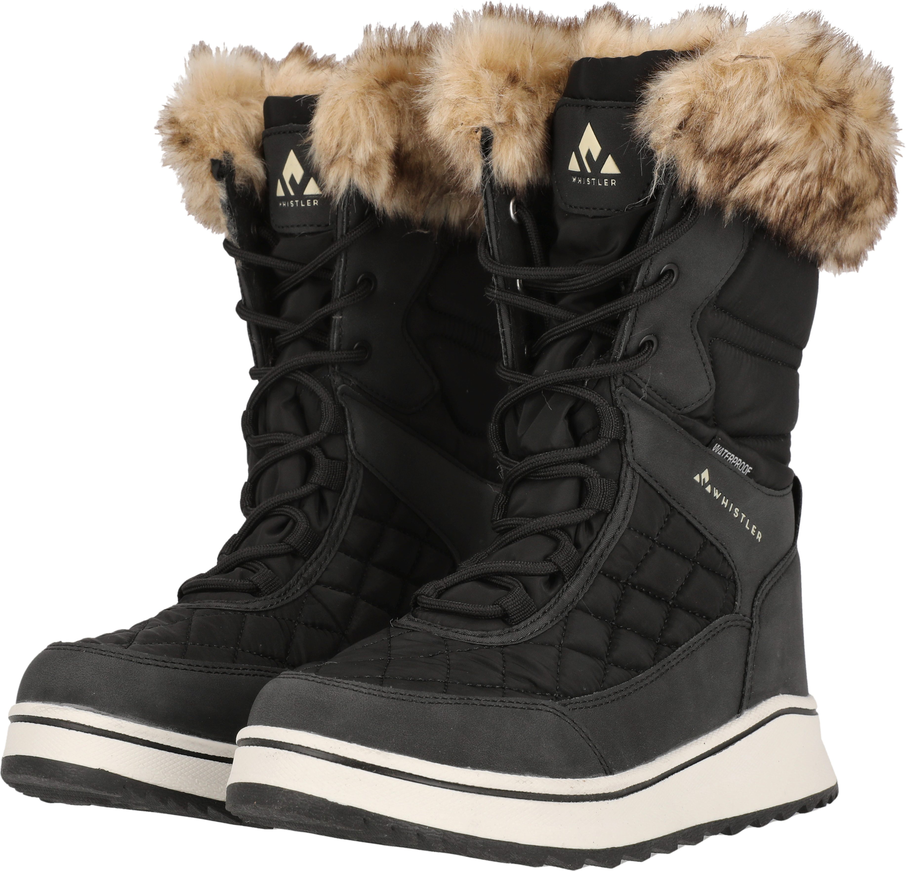WHISTLER Winterlaarzen Eewye W Boot WP V2