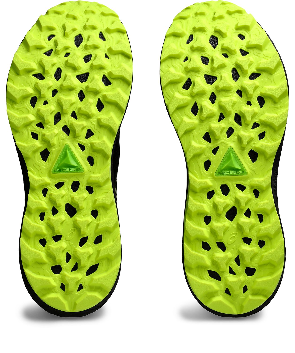 Asics Trailrunningschoenen GEL-TRABUCO 12 Gore-Tex
