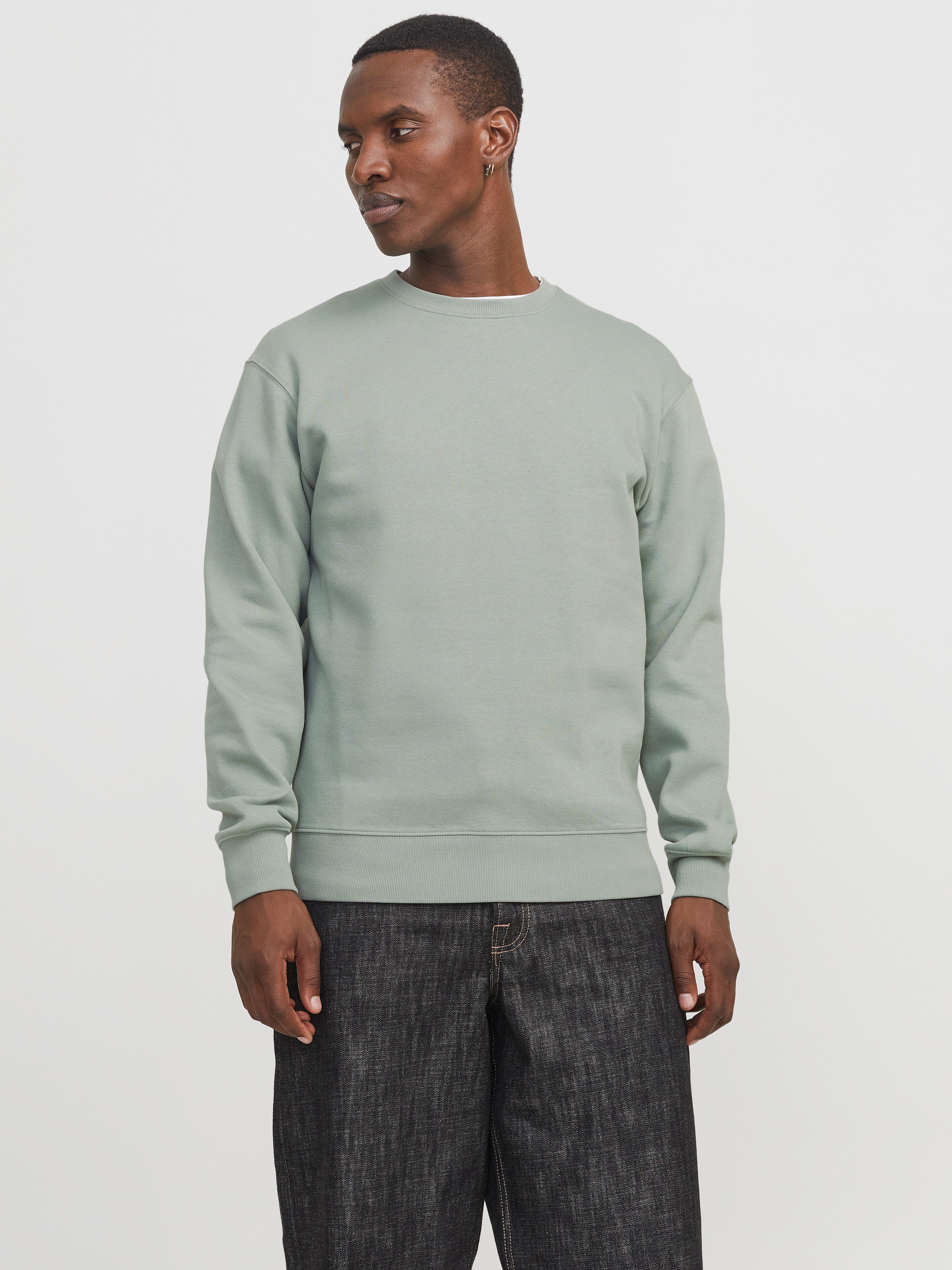 Jack & Jones Sweatshirt JJESTAR BASIC SWEAT CREW NECK NOOS