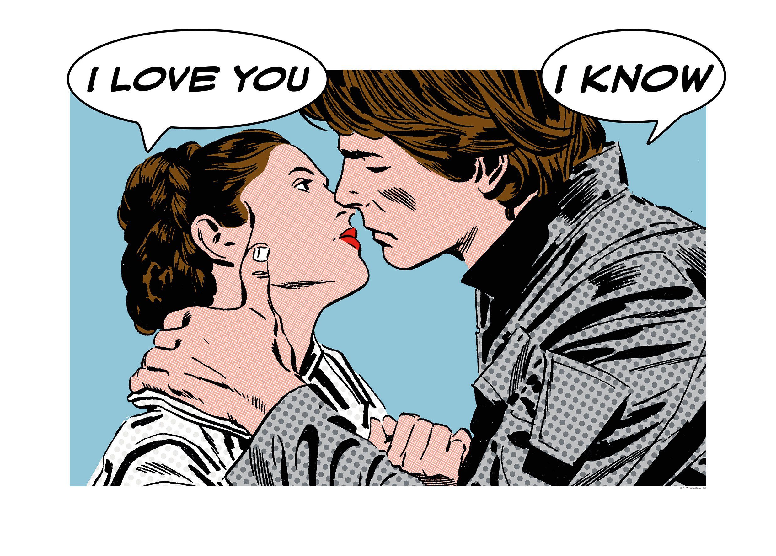 Komar Poster Star Wars Classic stripverhaal aandeel Leia Han