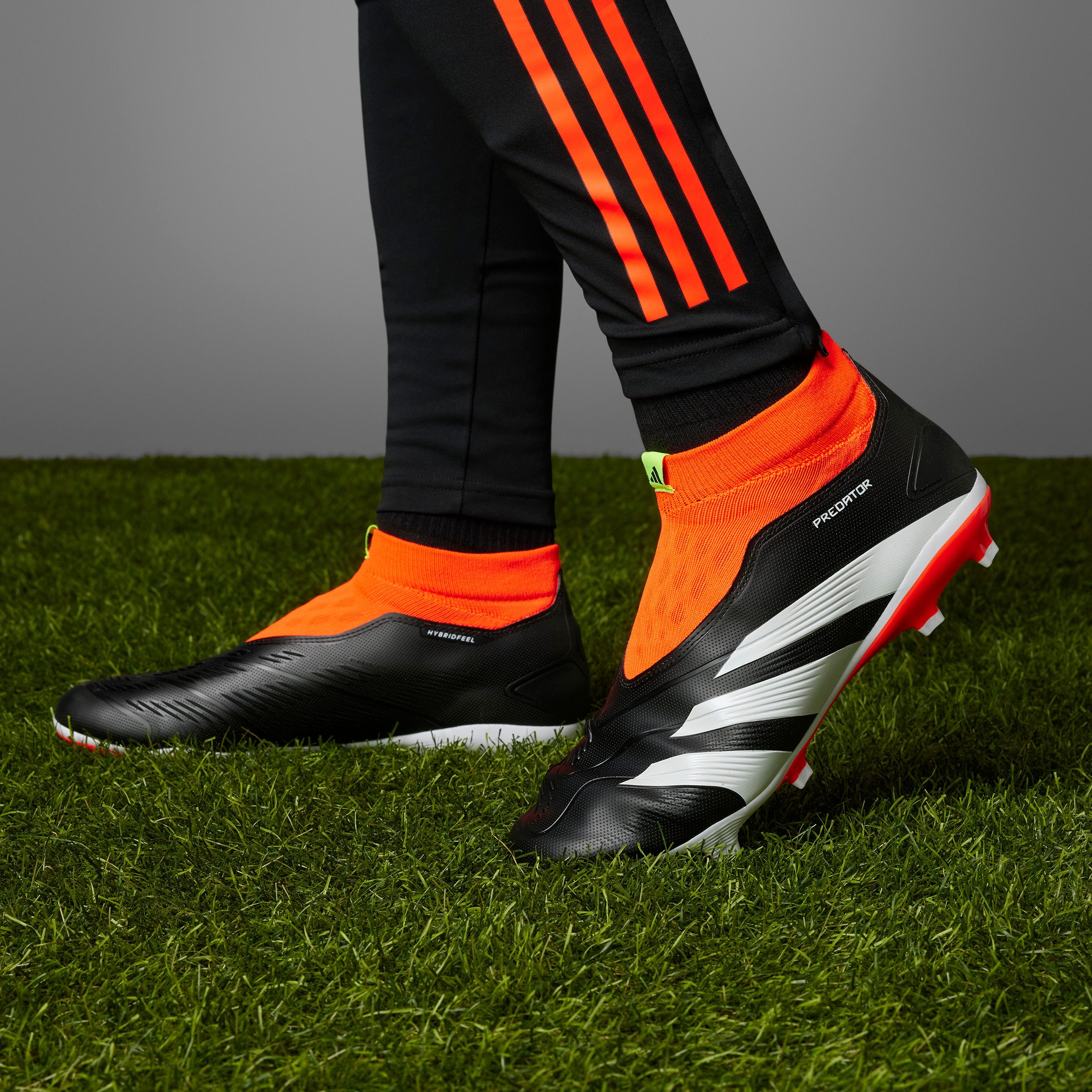 adidas Performance Voetbalschoenen PREDATOR LEAGUE LACELESS FG