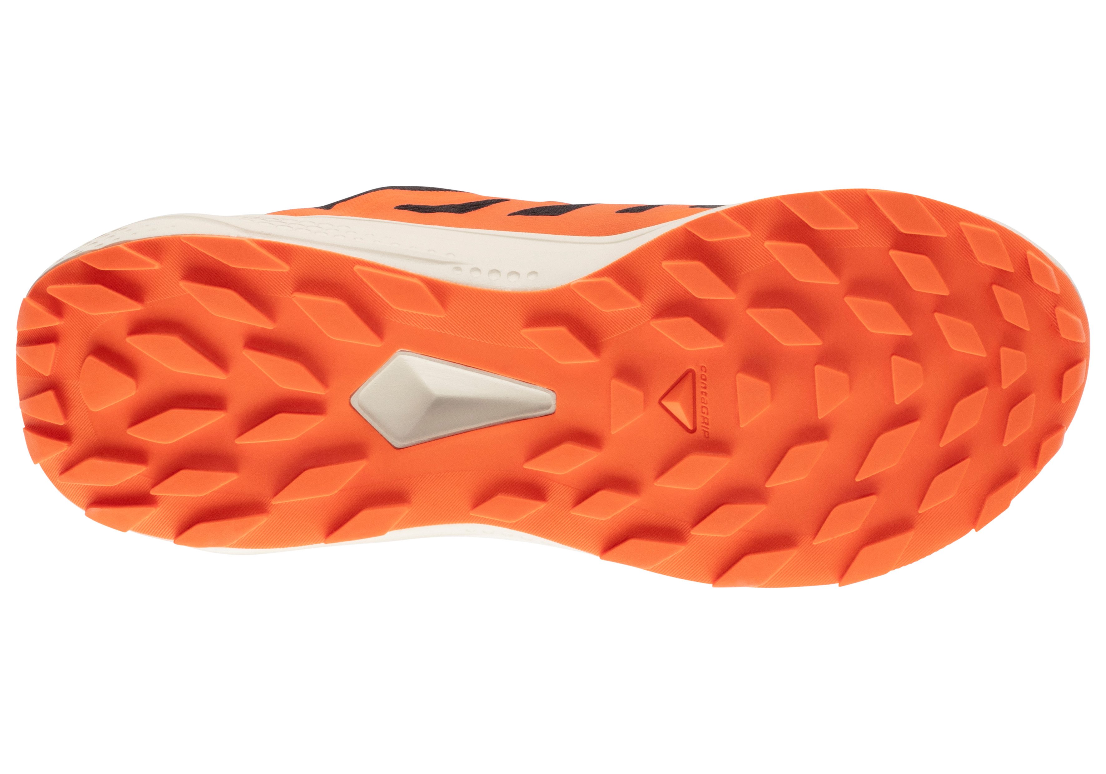 Salomon Trailrunningschoenen ALPHAGLIDE