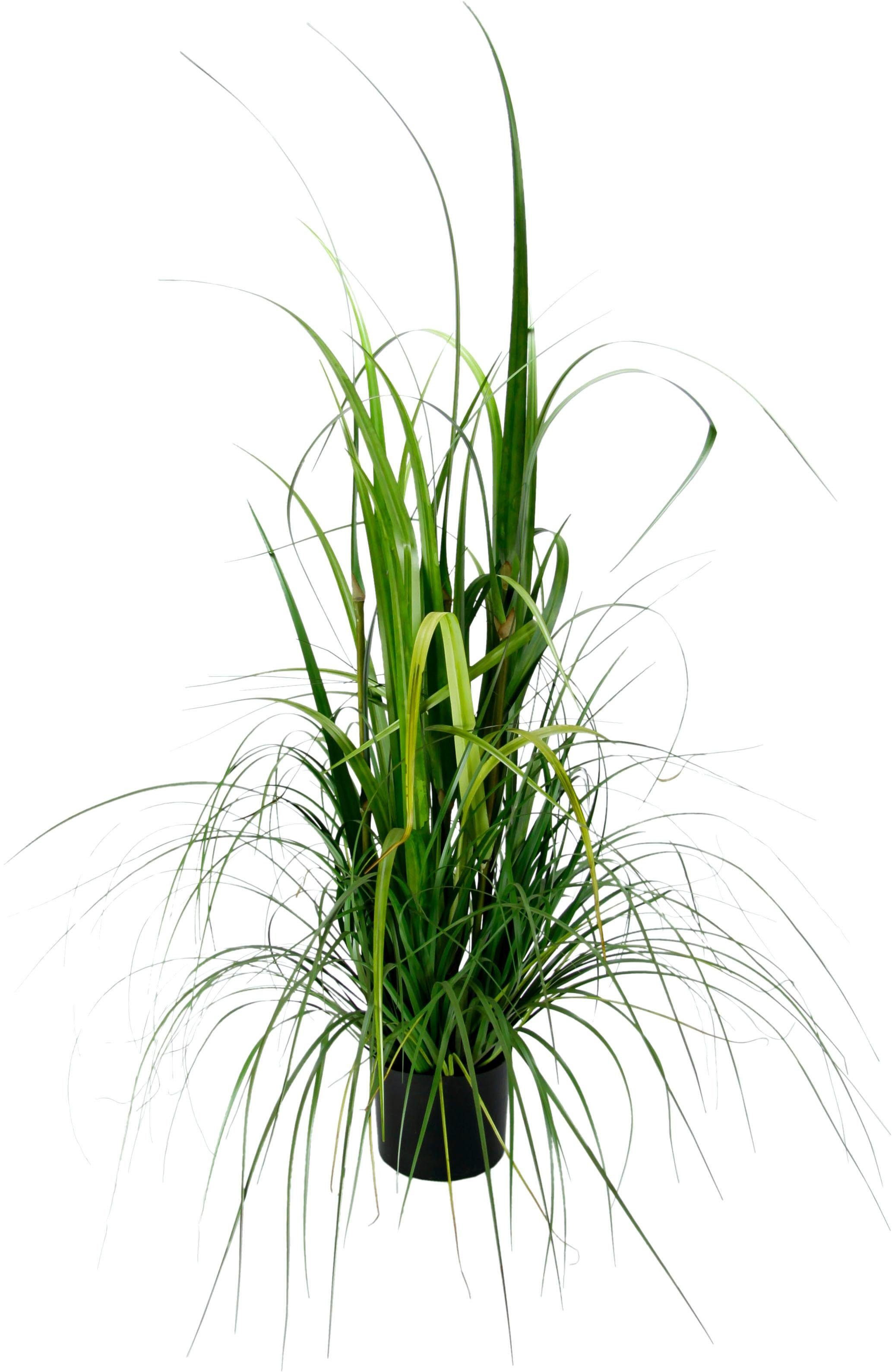 I.GE.A. Kunstplant Gras in pot (1 stuk) kunstplanten groen