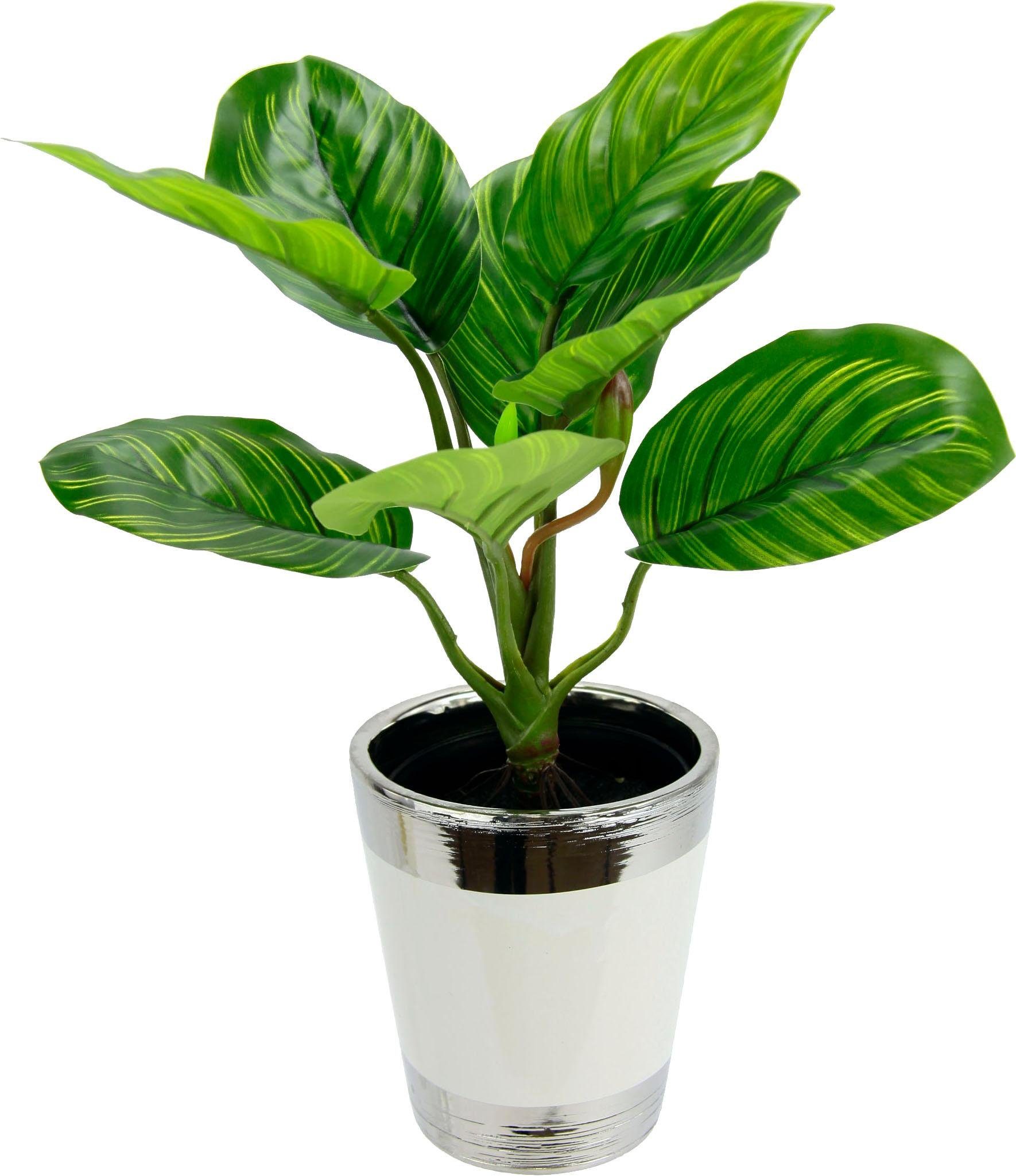 I.GE.A. Kunstplant Maranthusplant in pot (set, 2 stuks)