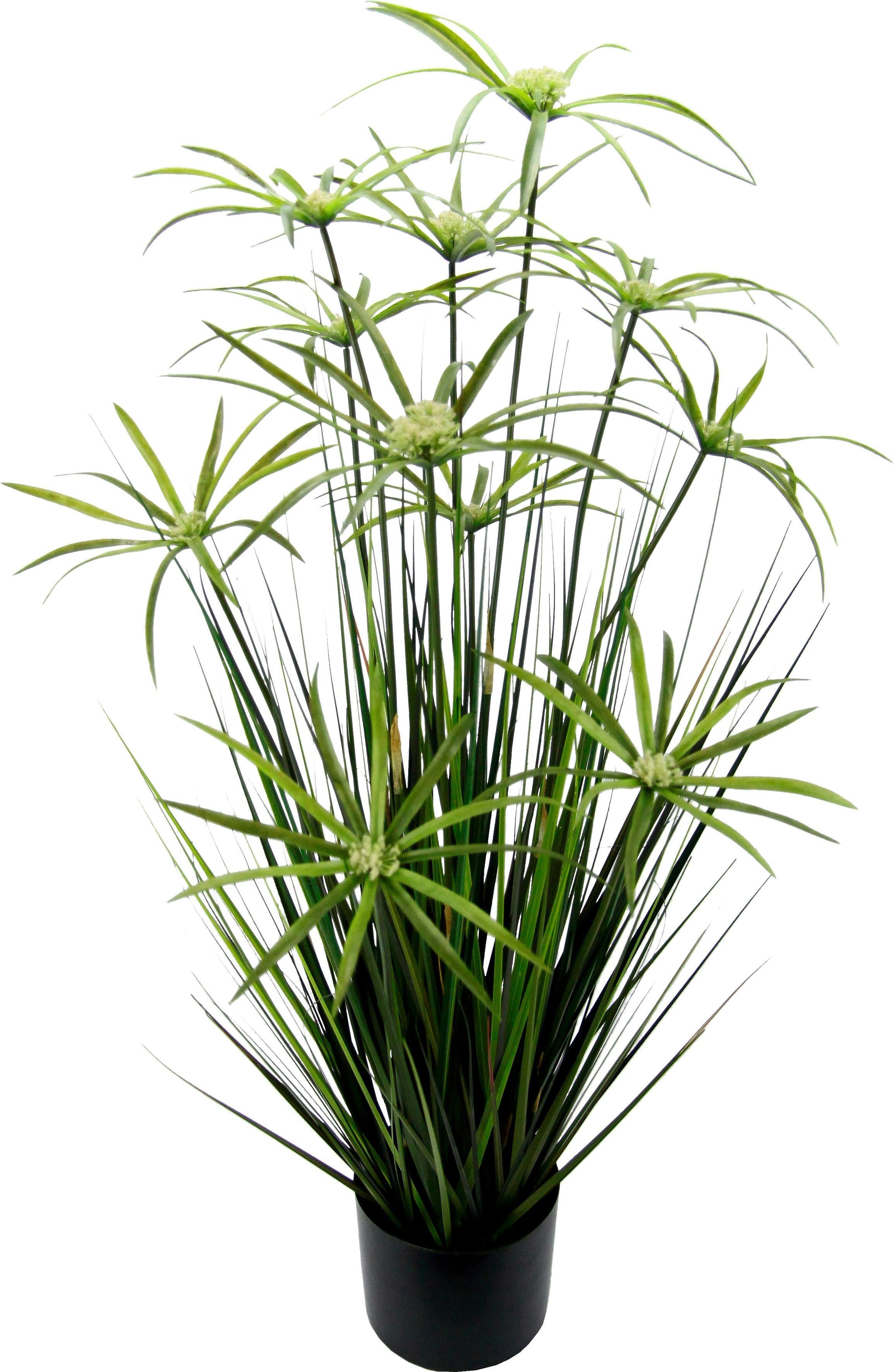 I.GE.A. Kunstplant Cypergras in pot kunstplanten maat 28 cm x 90 cm x 28 cm groen