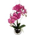 i.ge.a. kunstplant vlinderorchidee in pot (1 stuk) roze